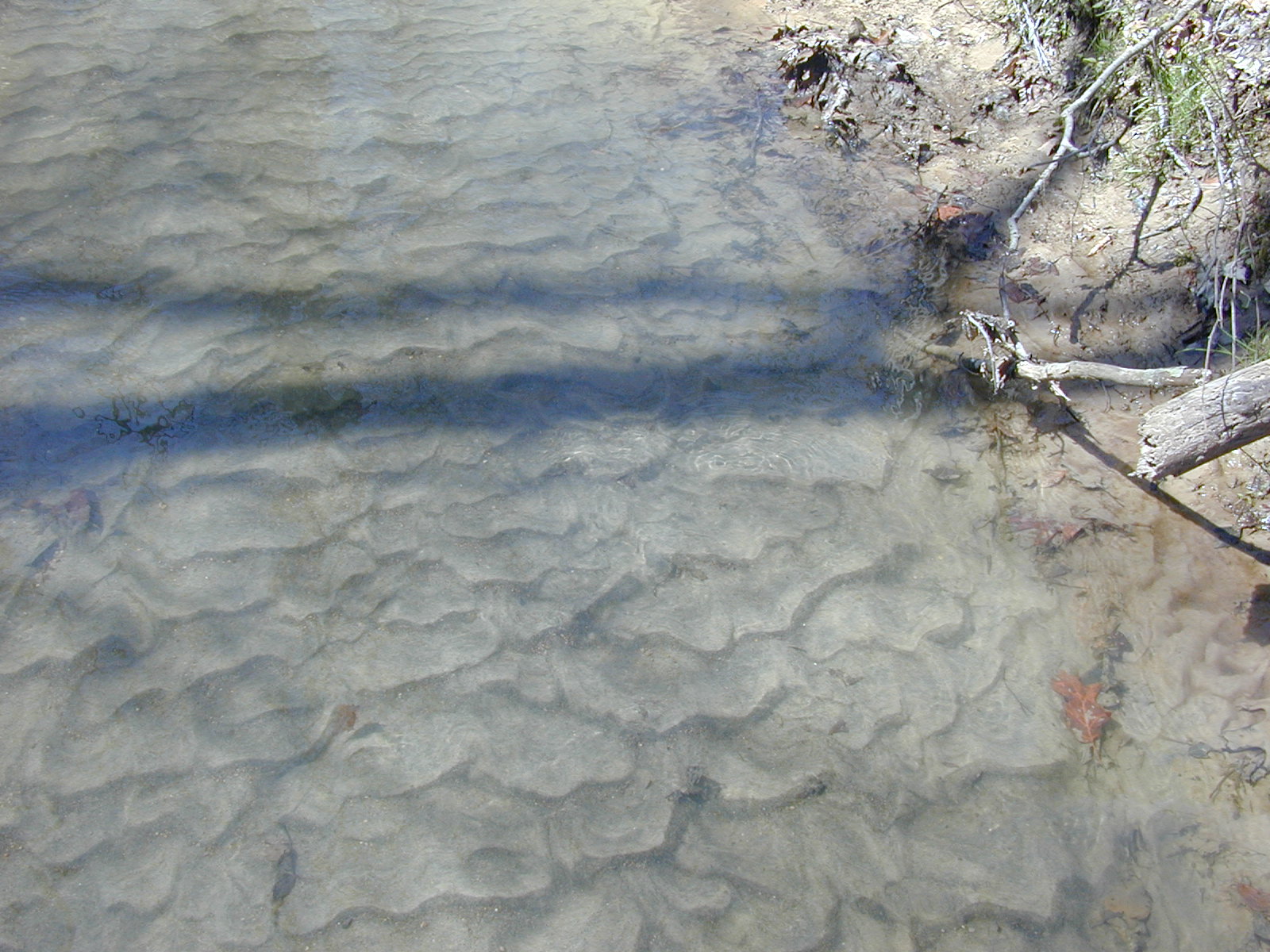 Field photo showing stream conditions at site PAXM-114-R-2001-130