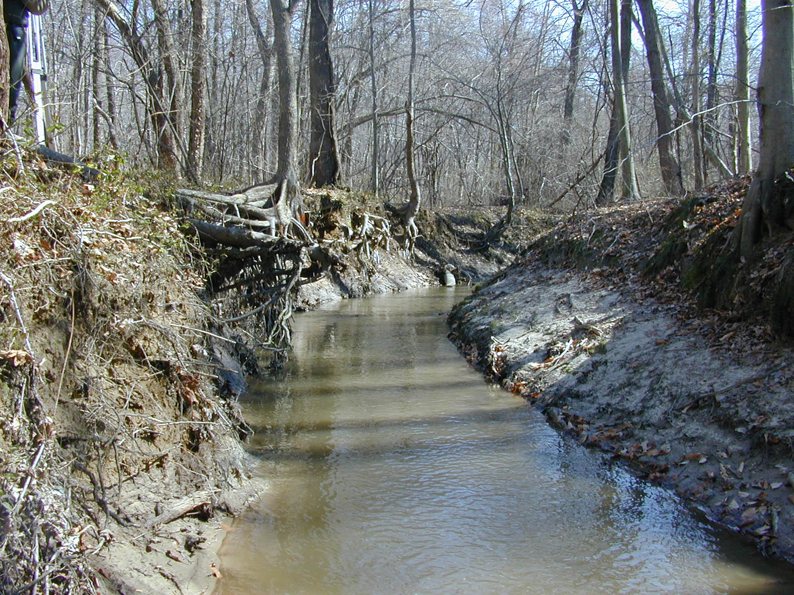 Field photo showing stream conditions at site PAXM-115-R-2001-138