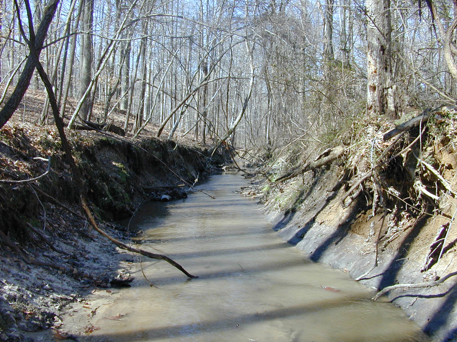 Field photo showing stream conditions at site PAXM-115-R-2001-139