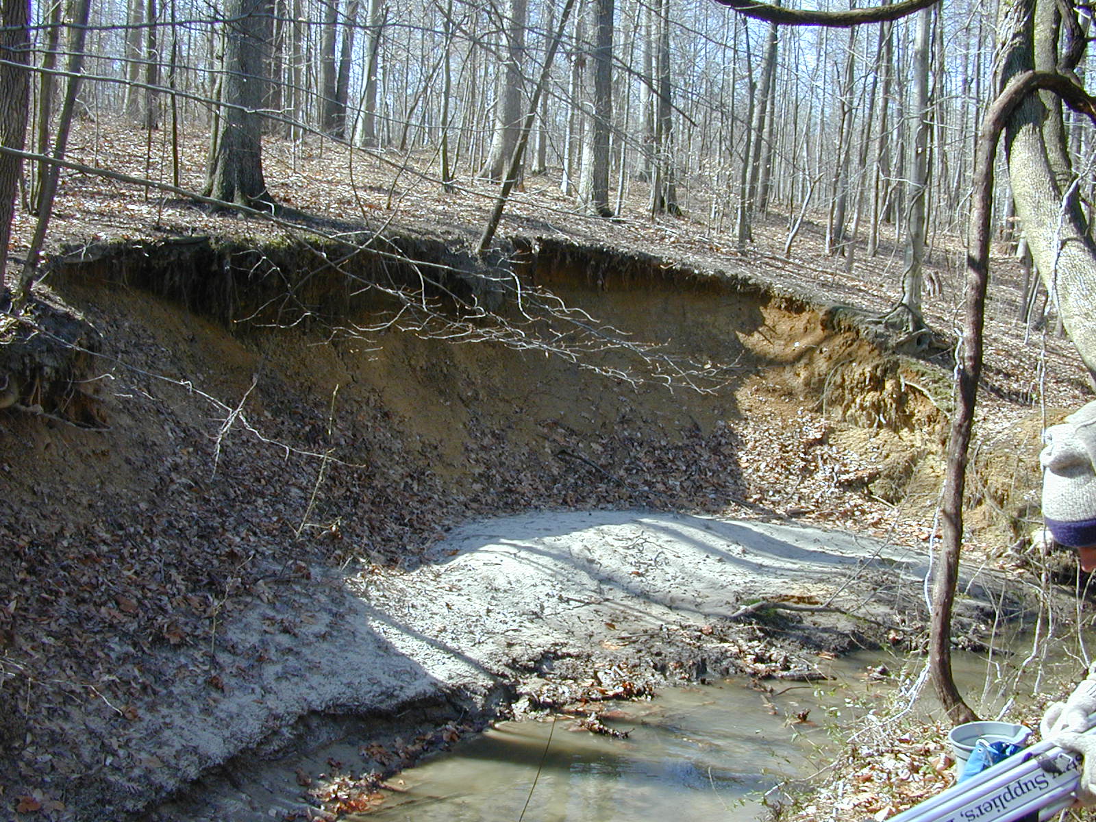Field photo showing stream conditions at site PAXM-115-R-2001-140