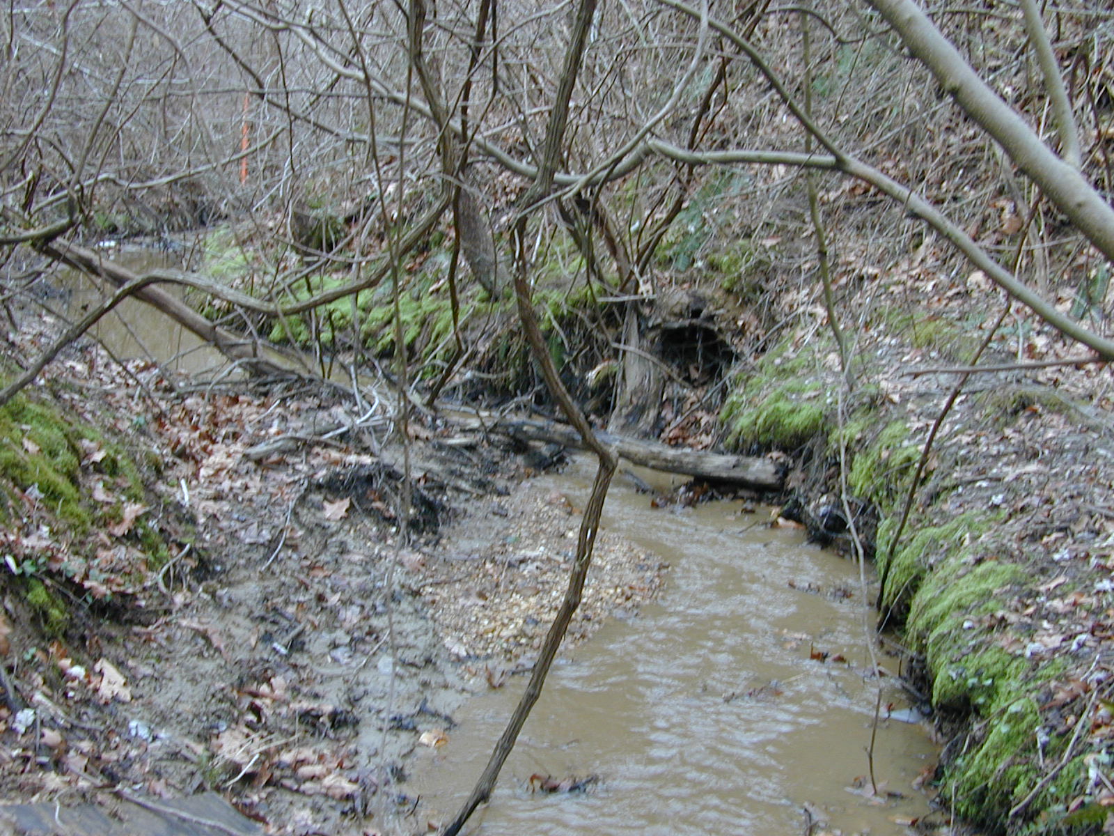 Field photo showing stream conditions at site PAXM-119-R-2001-109