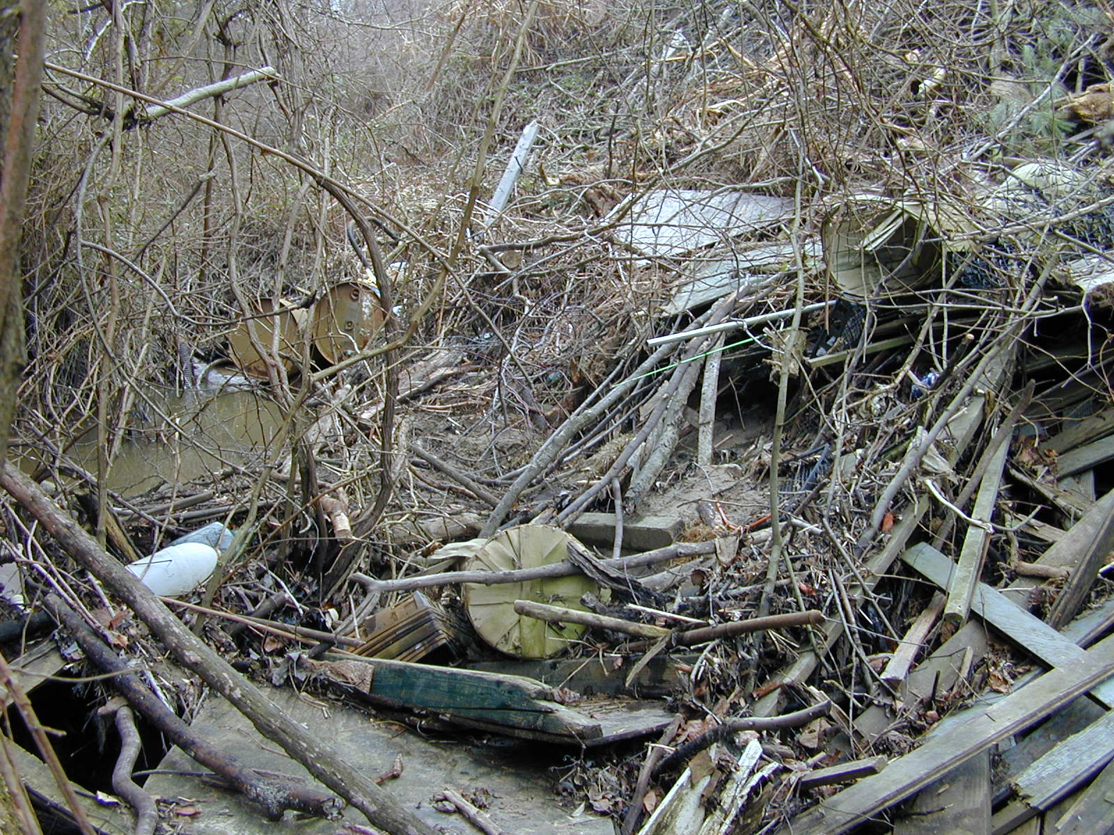 Field photo showing stream conditions at site PAXM-119-R-2001-110