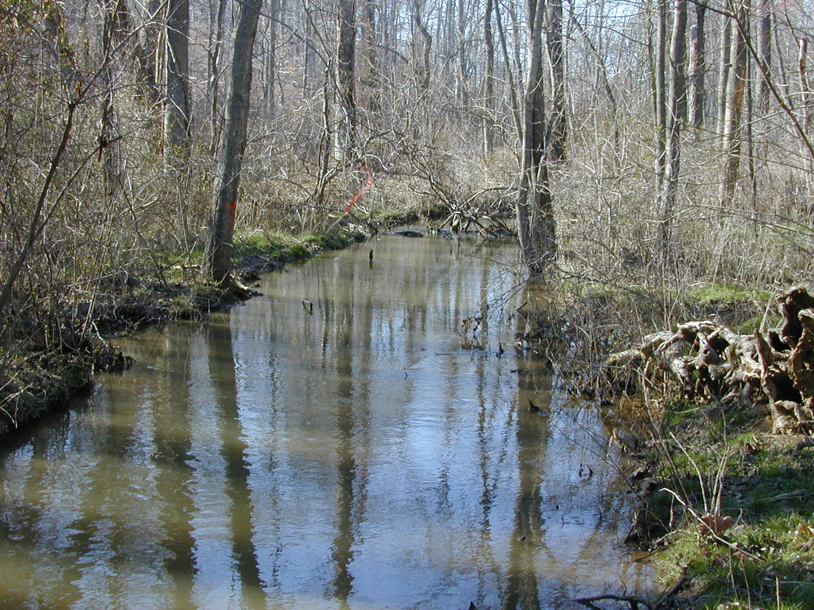 Field photo showing stream conditions at site PAXM-120-R-2001-133