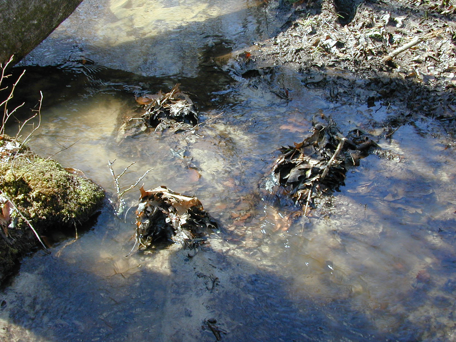 Field photo showing stream conditions at site PAXM-121-R-2001-145