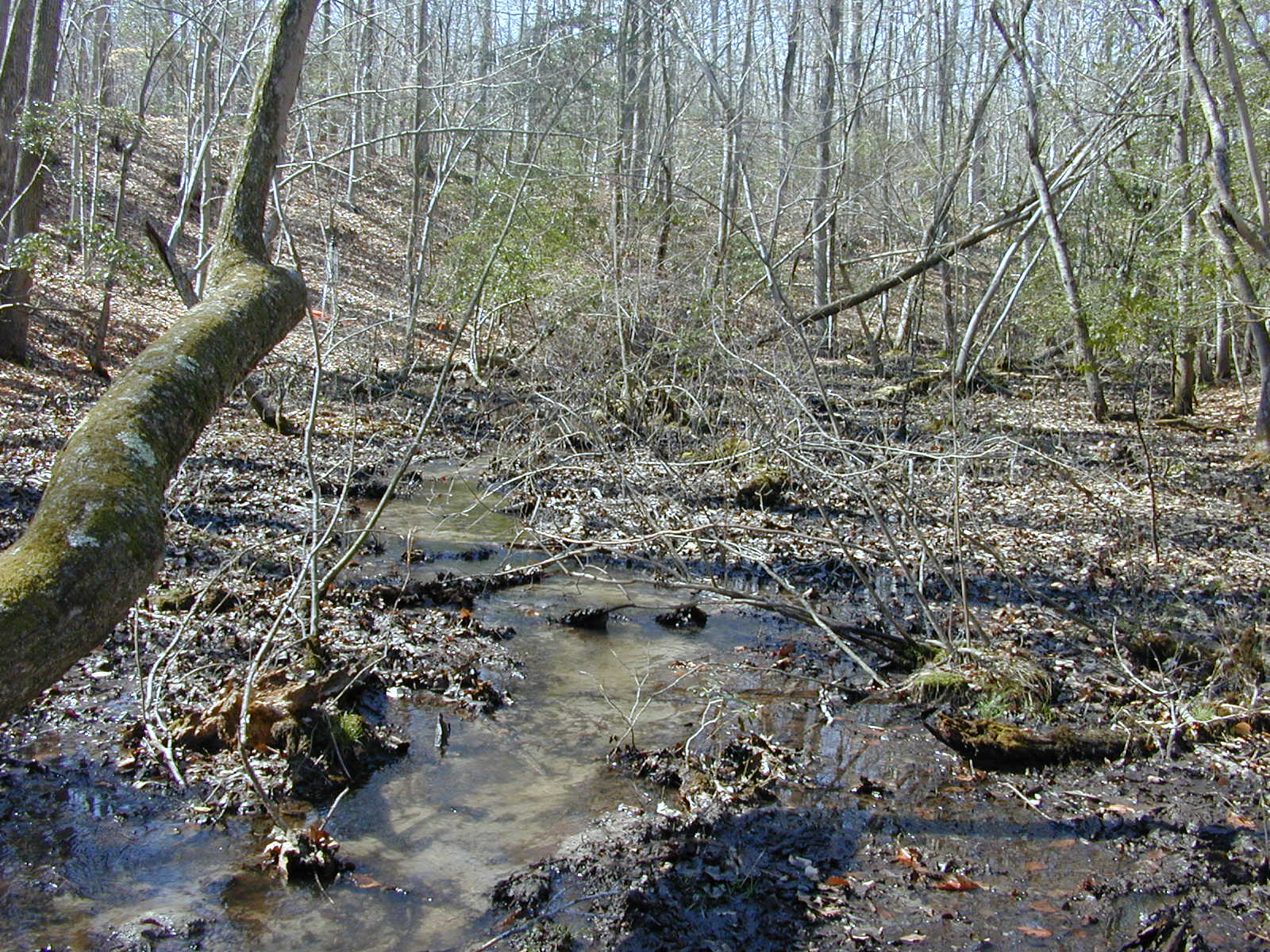 Field photo showing stream conditions at site PAXM-121-R-2001-146
