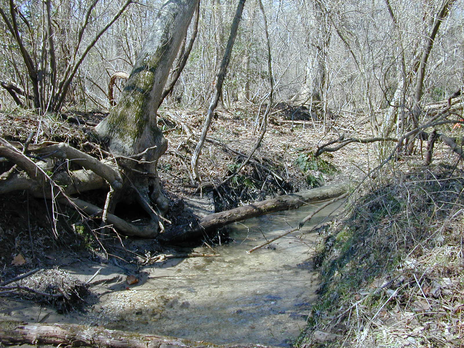 Field photo showing stream conditions at site PAXM-122-R-2001-125