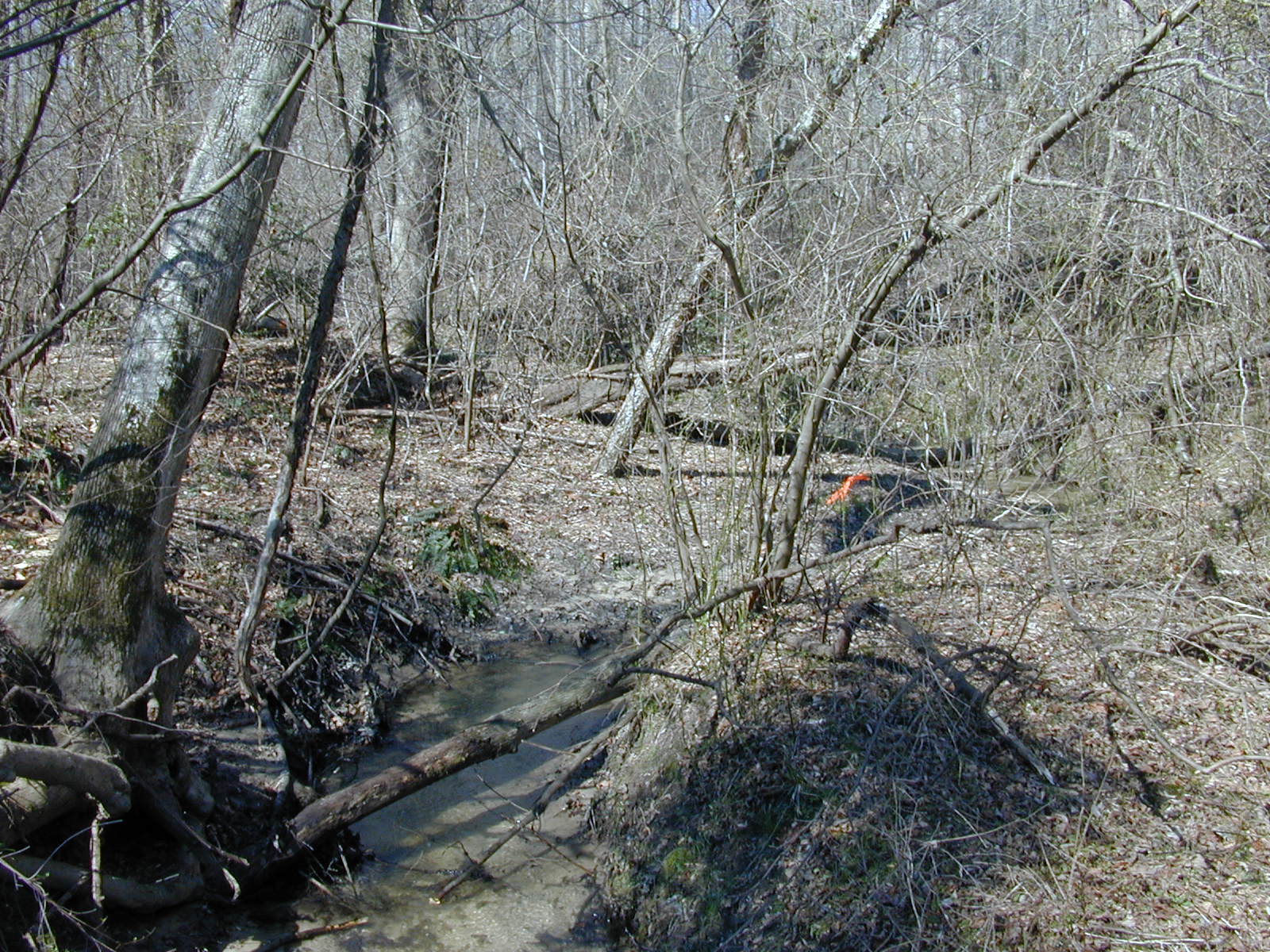 Field photo showing stream conditions at site PAXM-122-R-2001-126