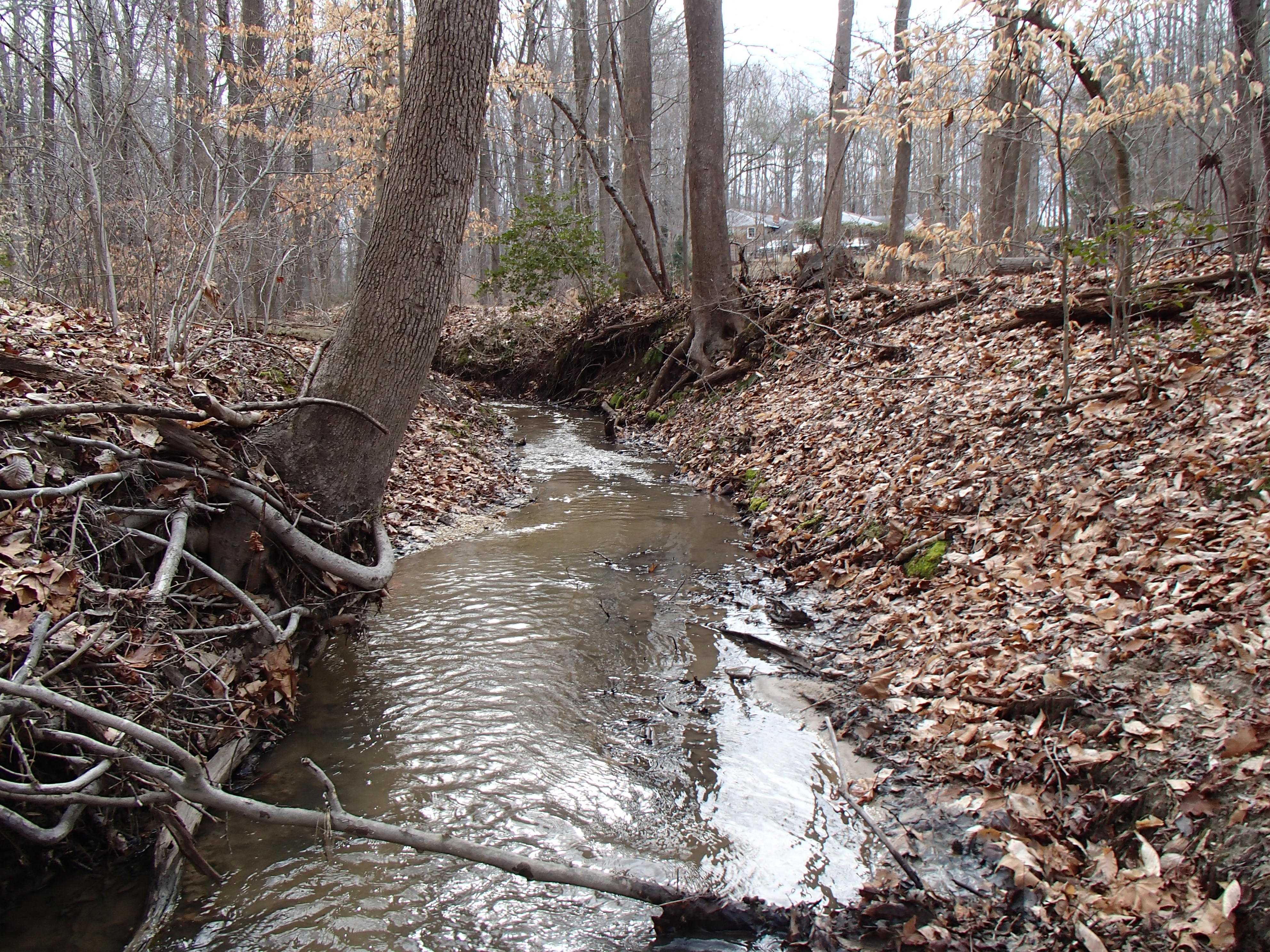 Field photo showing stream conditions at site PAXM-122-R-2015_Midpoint-looking-downstream