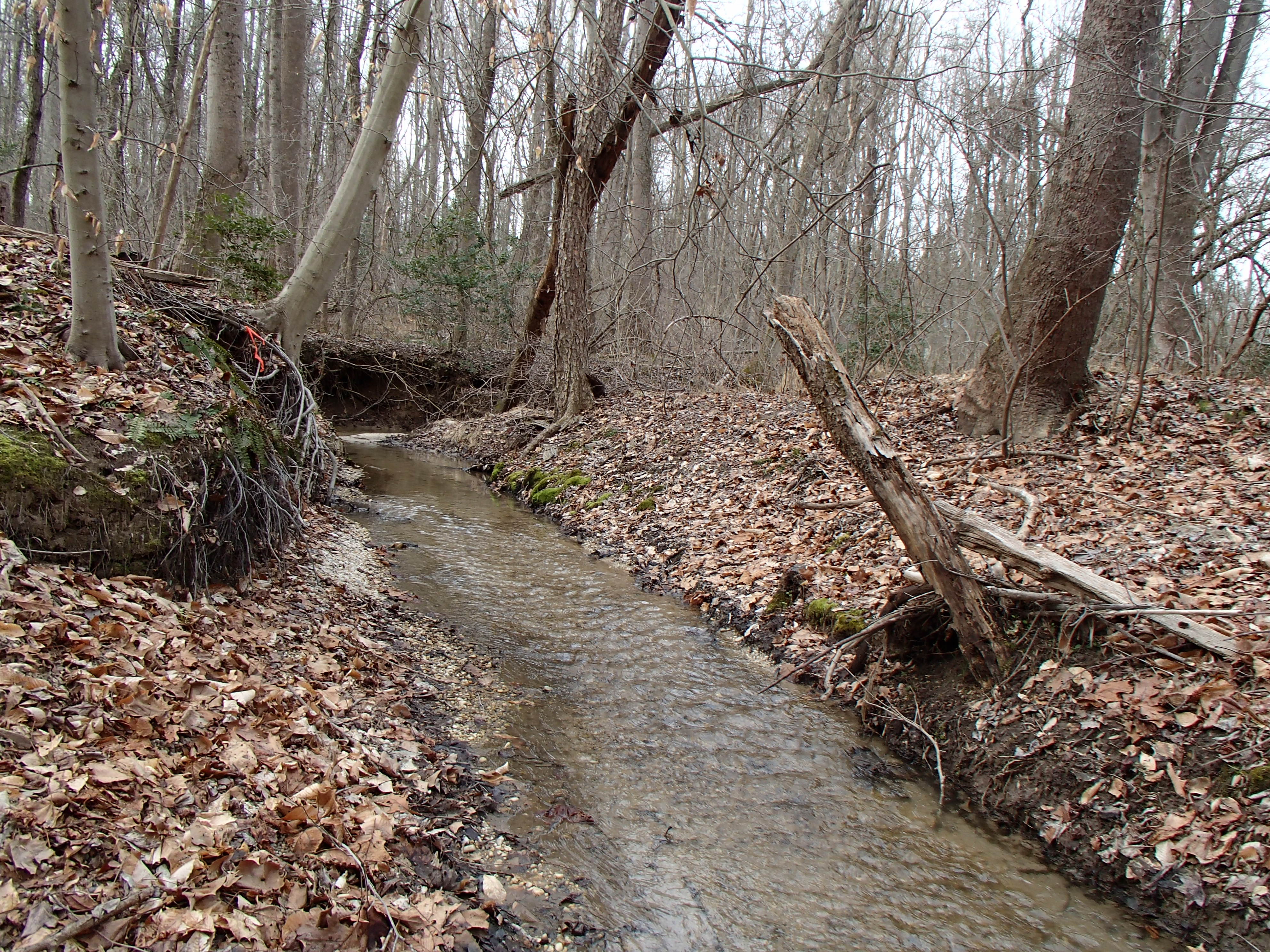 Field photo showing stream conditions at site PAXM-122-R-2015_Midpoint-looking-upstream