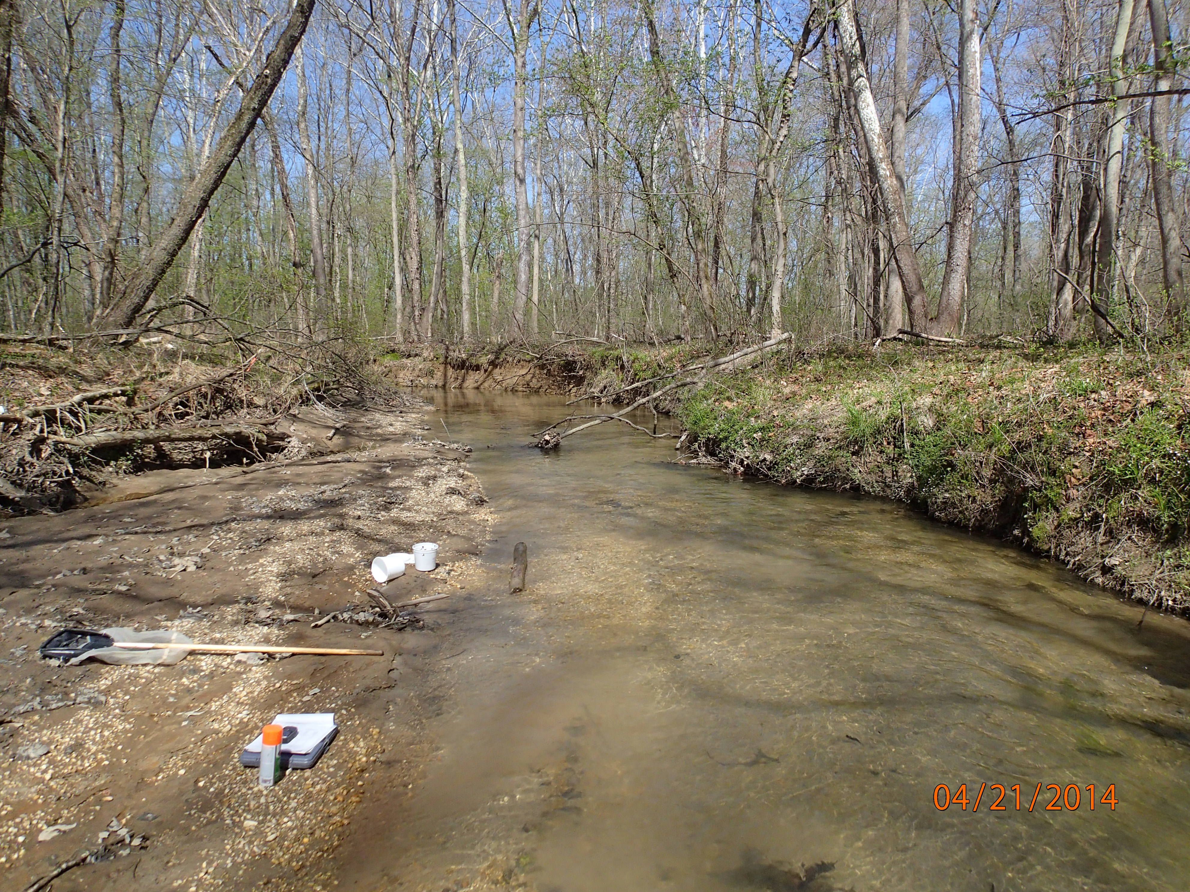 Field photo showing stream conditions at site PAXM-201-X-2014-MidpointDownstream