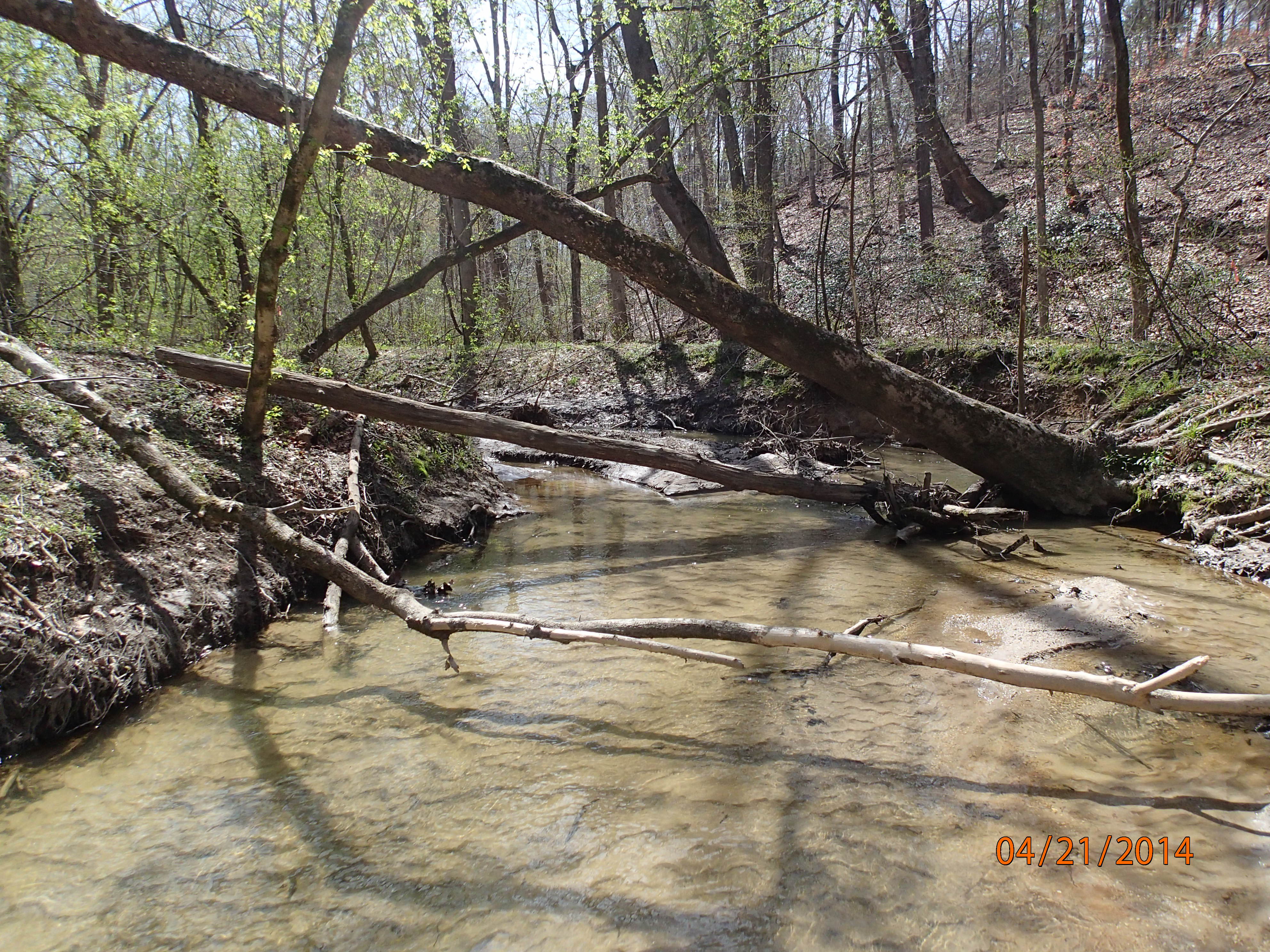 Field photo showing stream conditions at site PAXM-201-X-2014-MidpointUpstream