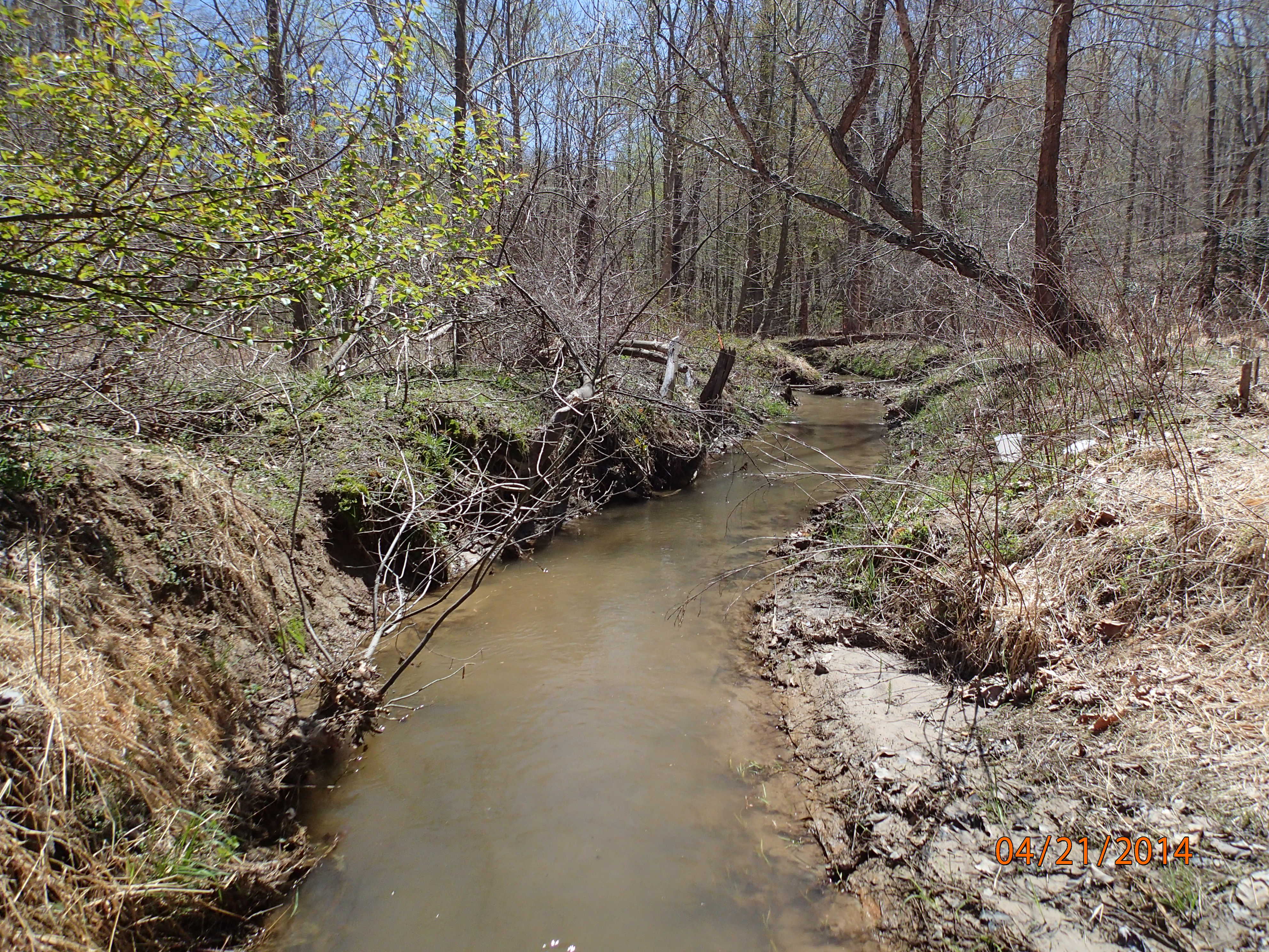 Field photo showing stream conditions at site PAXM-202-X-2014-MidpointDownstream