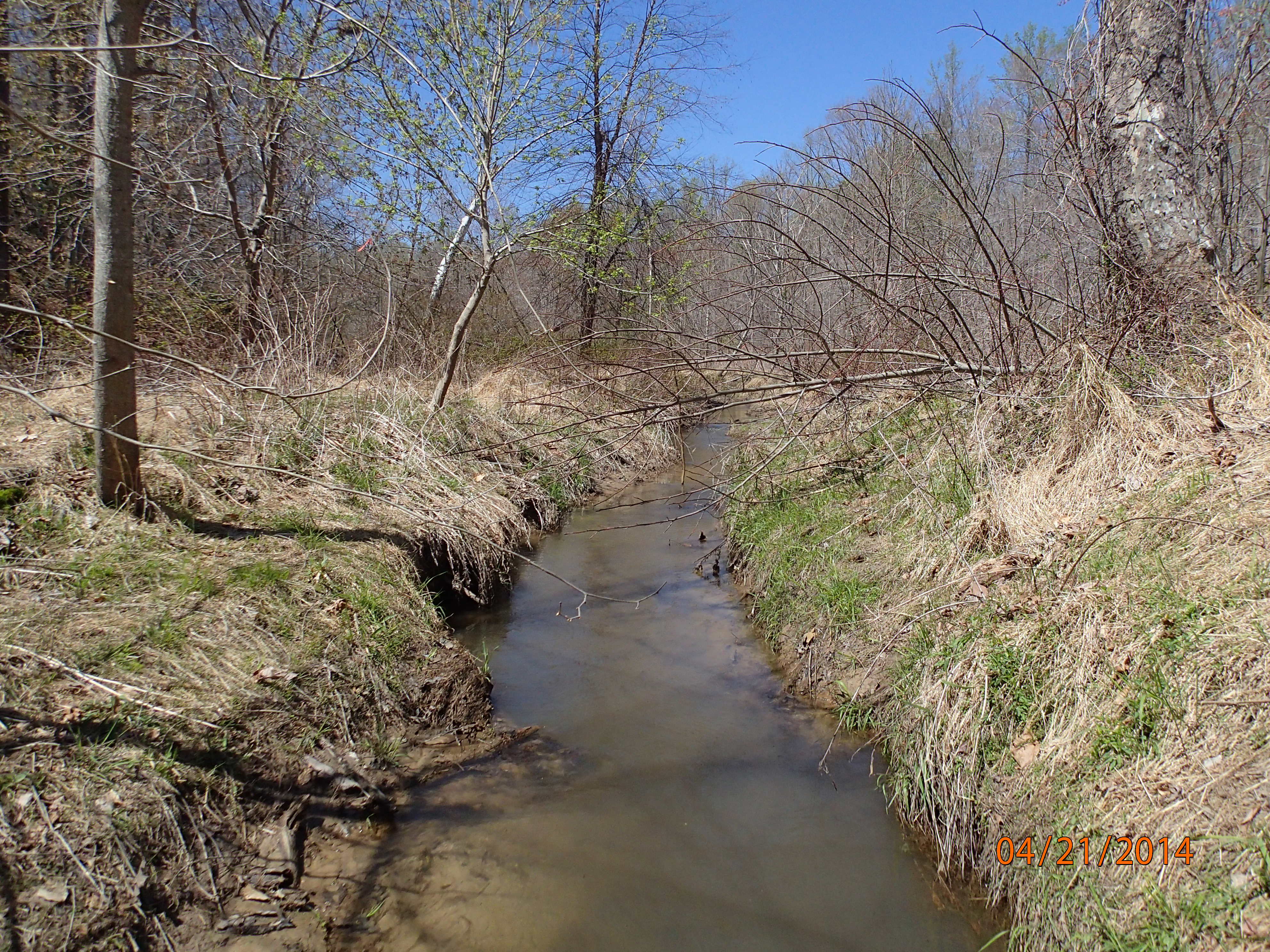 Field photo showing stream conditions at site PAXM-202-X-2014-MidpointUpstream