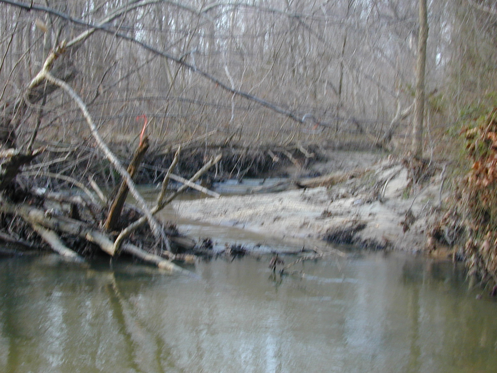 Field photo showing stream conditions at site PAXM-211-R-2001-119