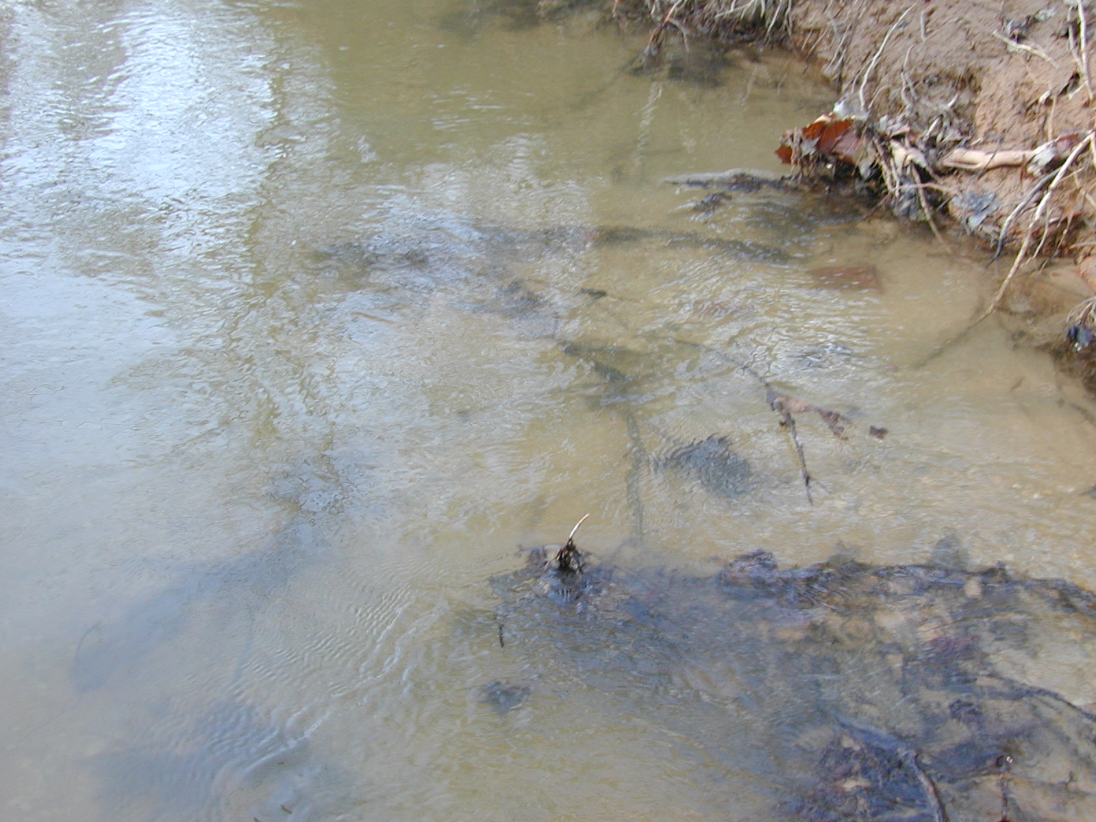 Field photo showing stream conditions at site PAXM-211-R-2001-120