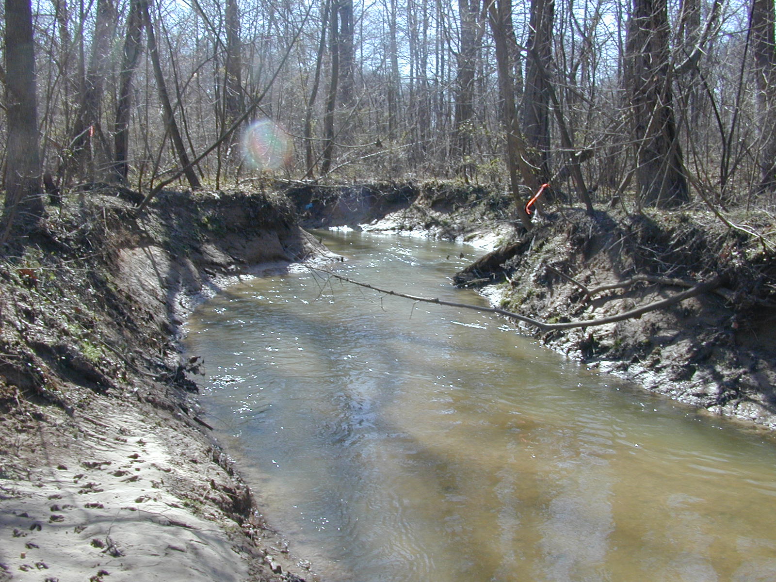 Field photo showing stream conditions at site PAXM-213-R-2001-131