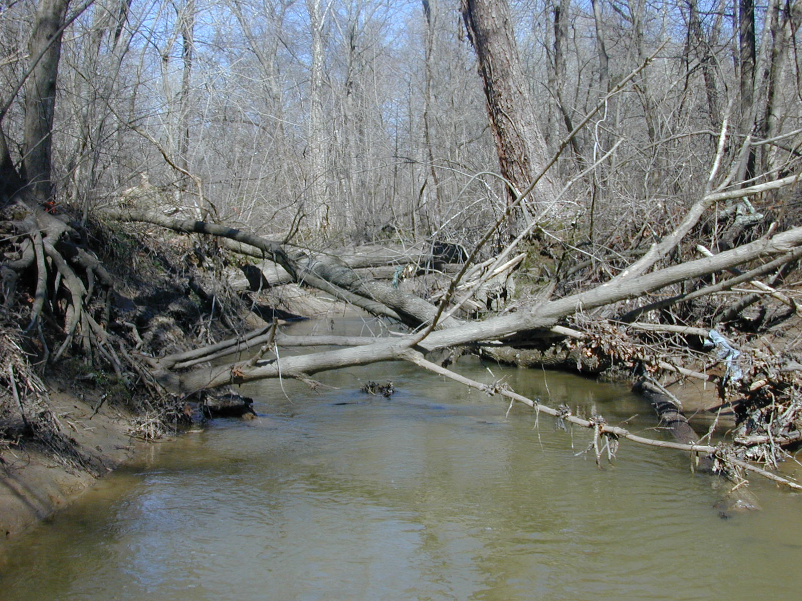 Field photo showing stream conditions at site PAXM-213-R-2001-132
