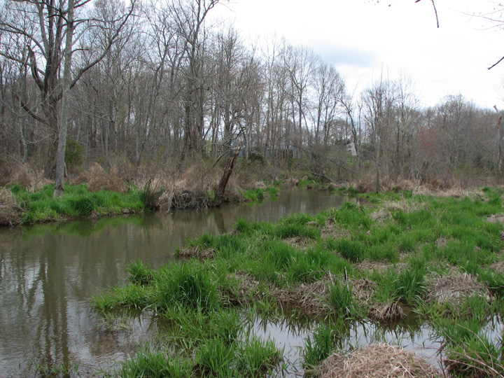 Field photo showing stream conditions at site PAXM-338-A-2007-2
