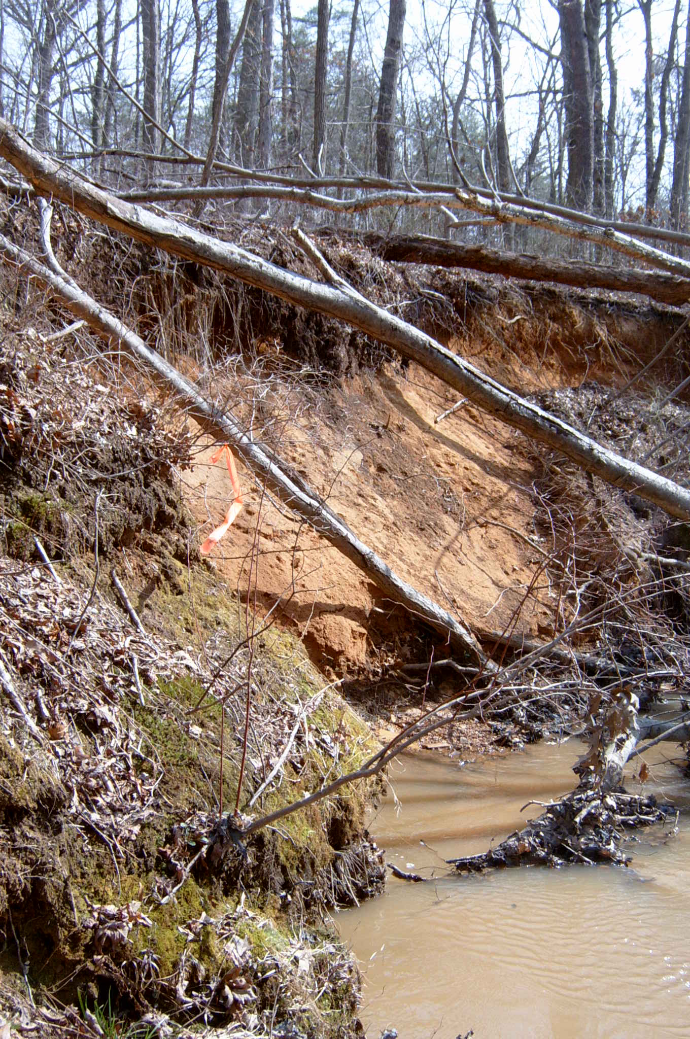 Field photo showing stream conditions at site PAXU-101-R-2004-60
