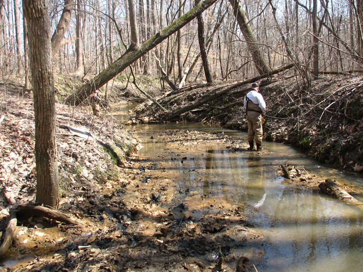 Field photo showing stream conditions at site PAXU-101-R-2008-1