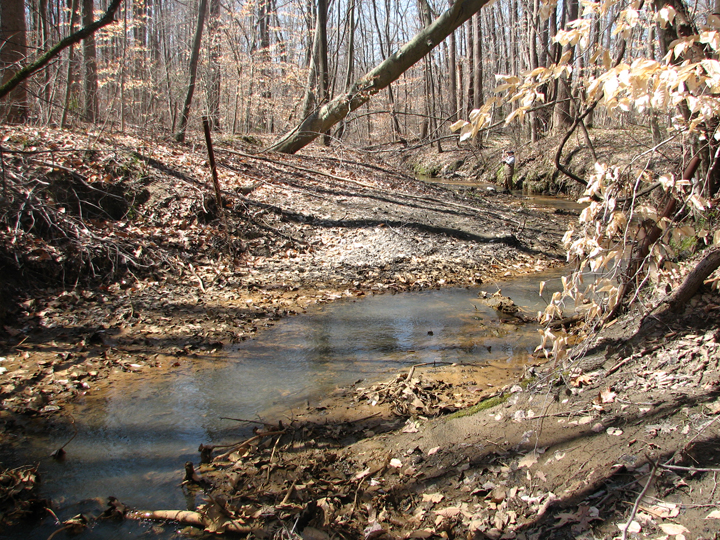 Field photo showing stream conditions at site PAXU-101-R-2008-2