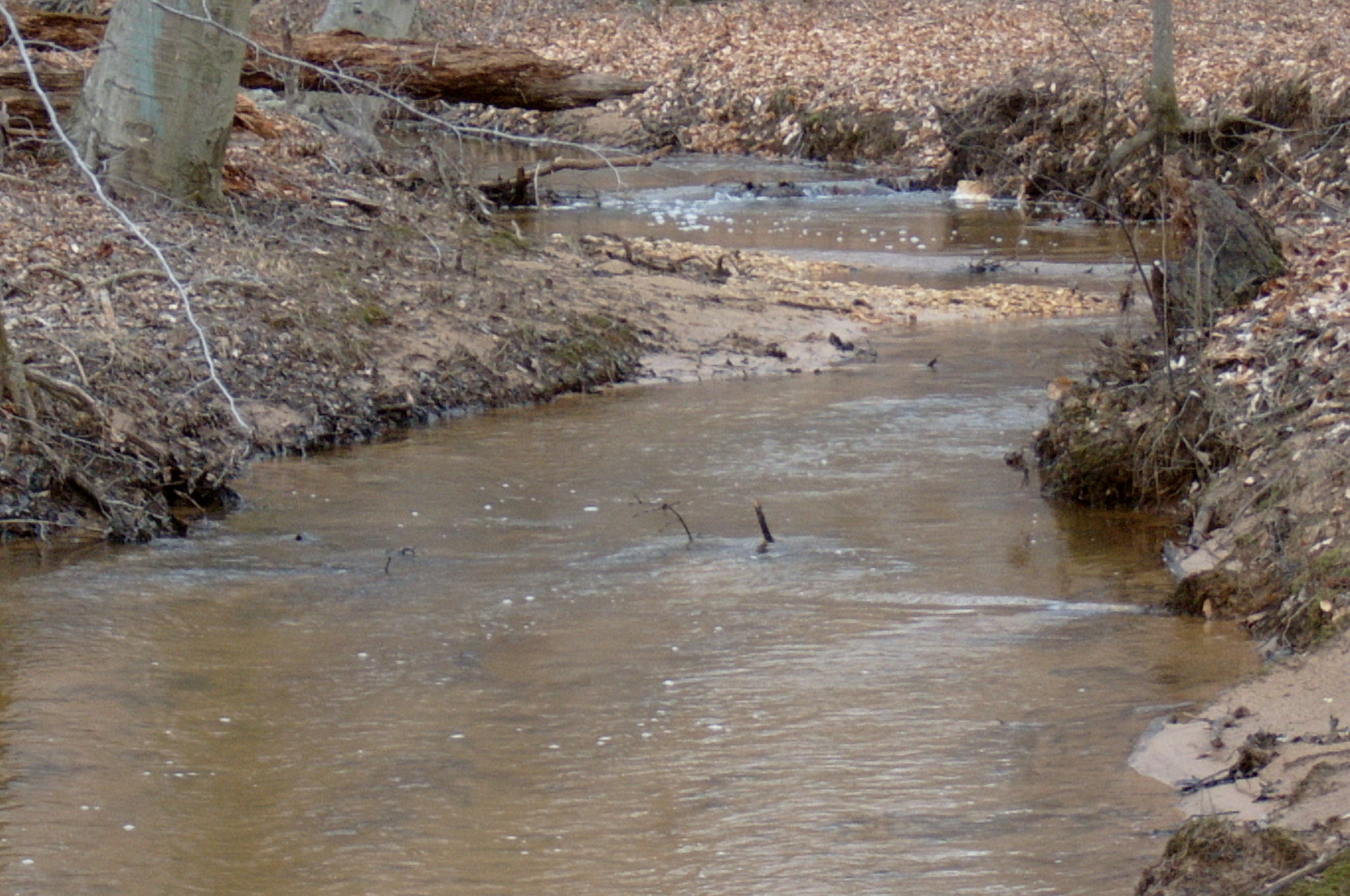 Field photo showing stream conditions at site PAXU-102-R-2004-46