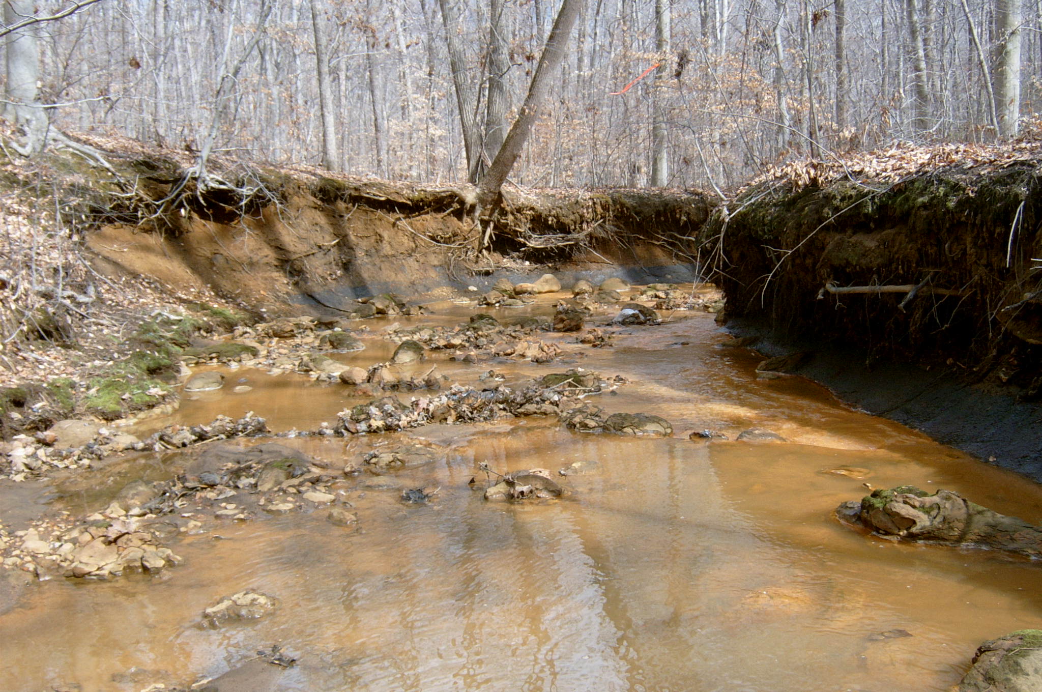 Field photo showing stream conditions at site PAXU-103-R-2004-62