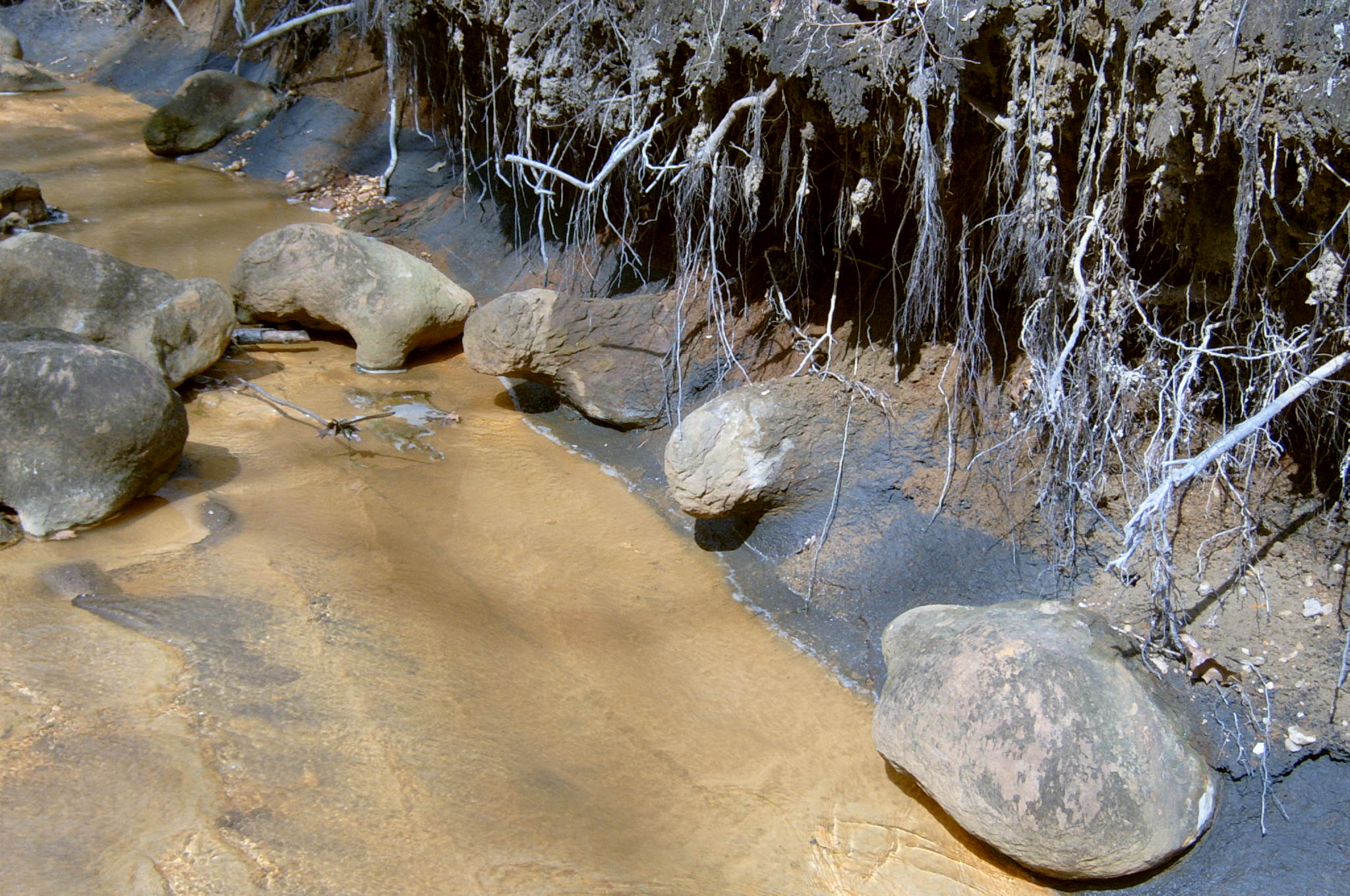 Field photo showing stream conditions at site PAXU-103-R-2004-65