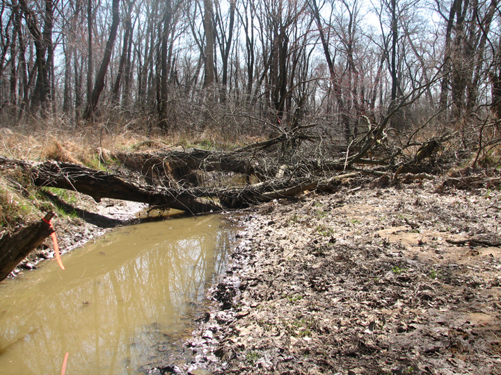 Field photo showing stream conditions at site PAXU-108-R-2008-2