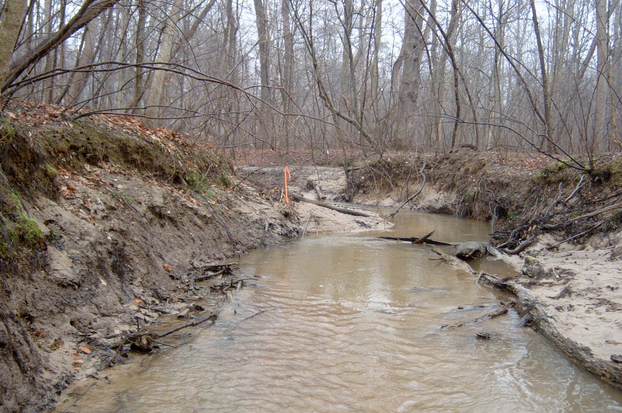 Field photo showing stream conditions at site PAXU-109-R-2004-72