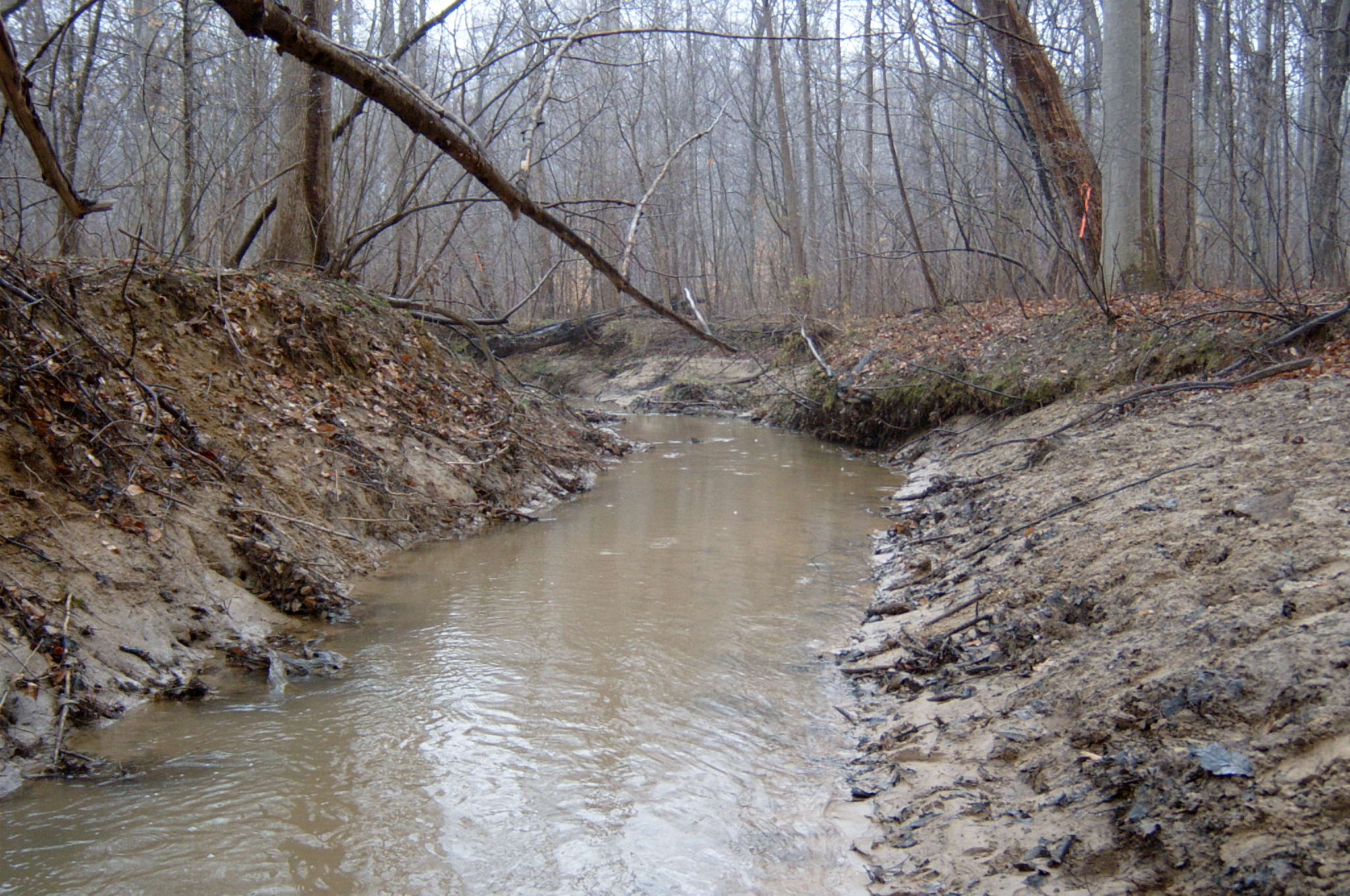 Field photo showing stream conditions at site PAXU-109-R-2004-73