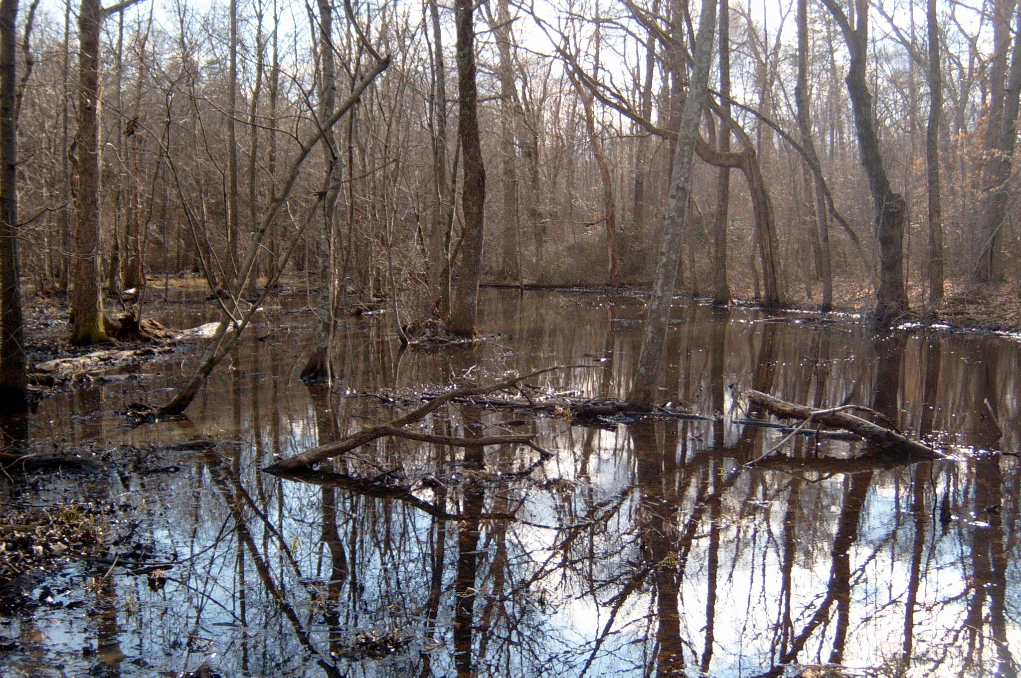Field photo showing stream conditions at site PAXU-113-R-2004-47