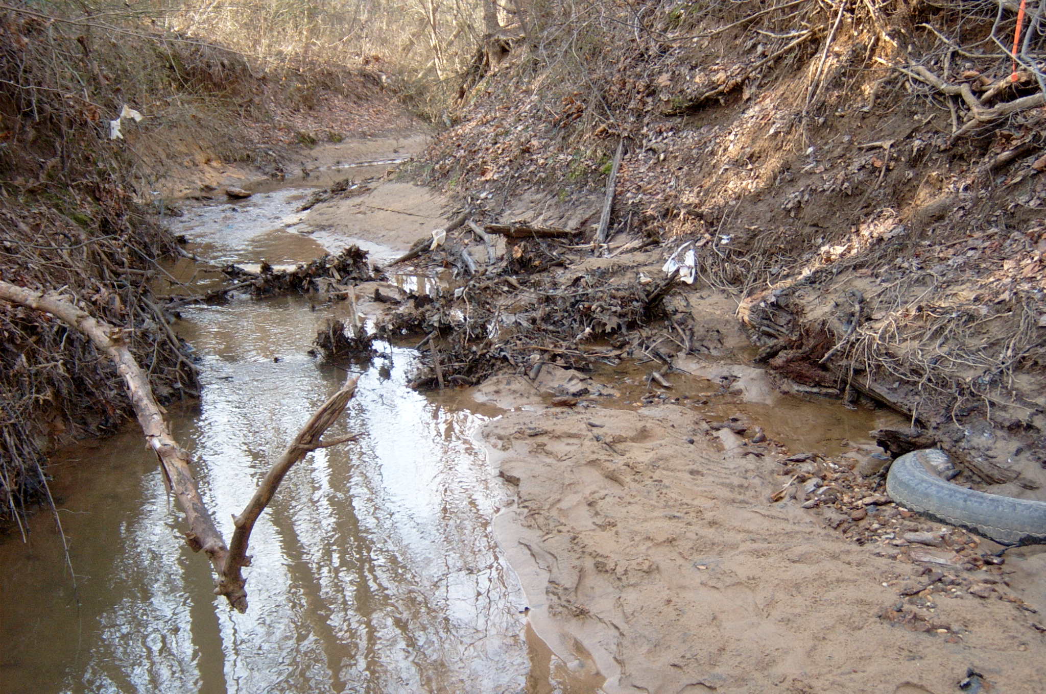 Field photo showing stream conditions at site PAXU-117-R-2004-57