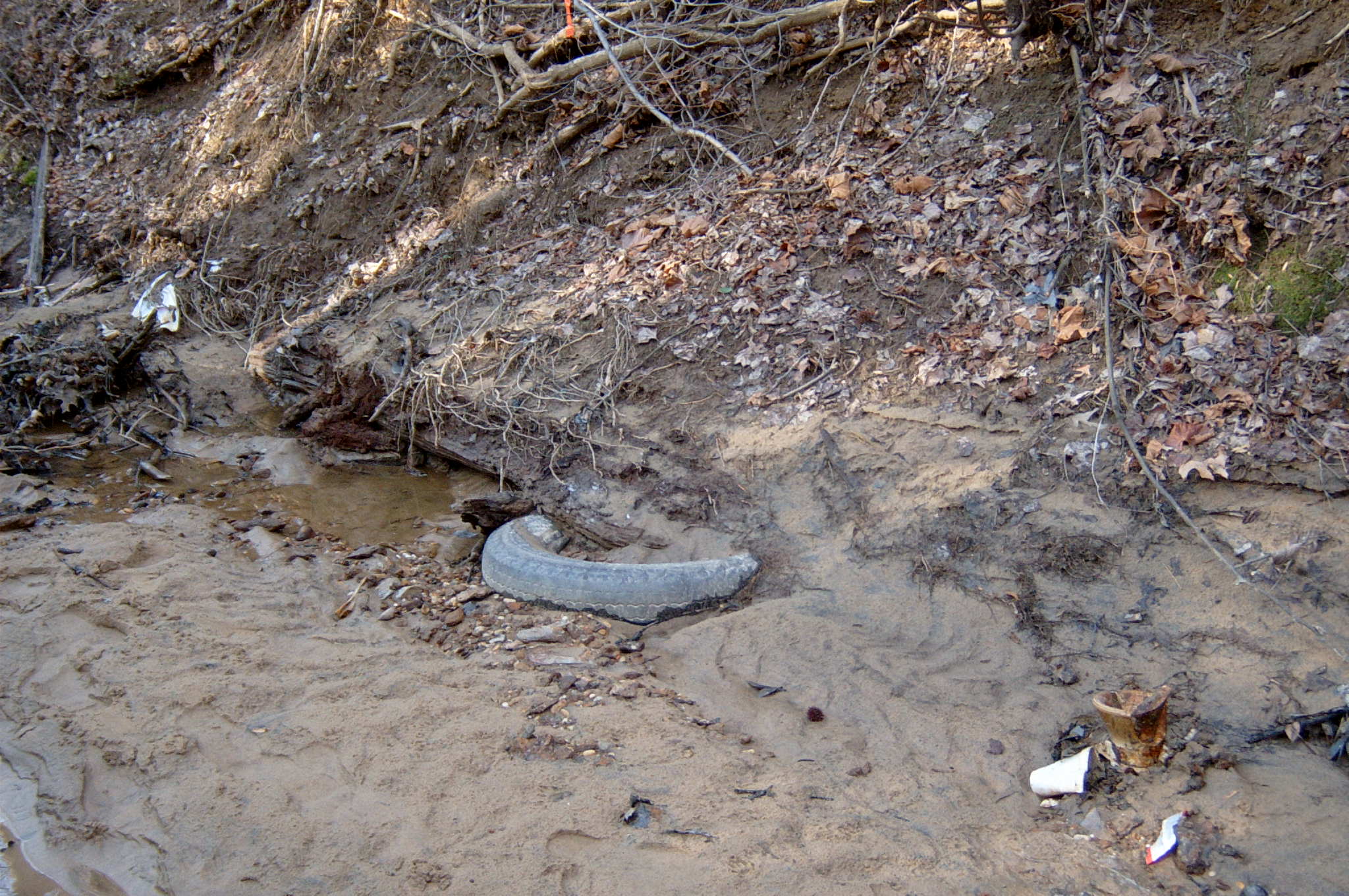 Field photo showing stream conditions at site PAXU-117-R-2004-58