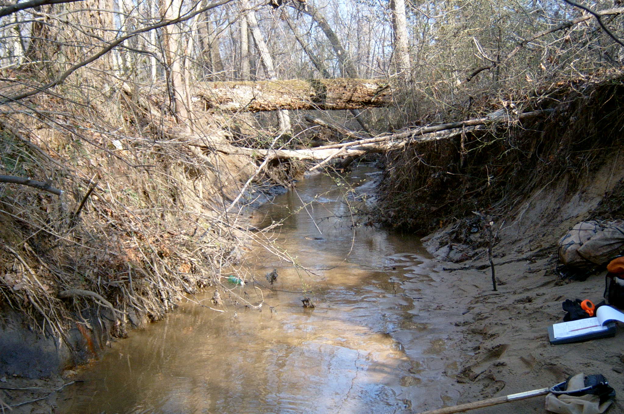Field photo showing stream conditions at site PAXU-117-R-2004-59