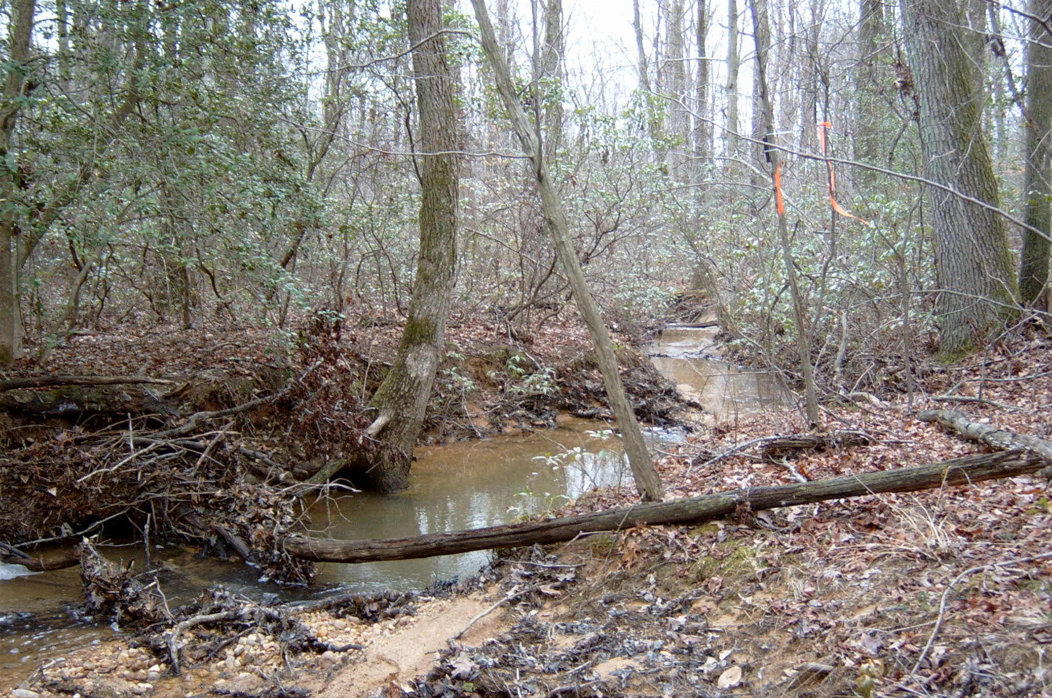 Field photo showing stream conditions at site PAXU-118-R-2004-42