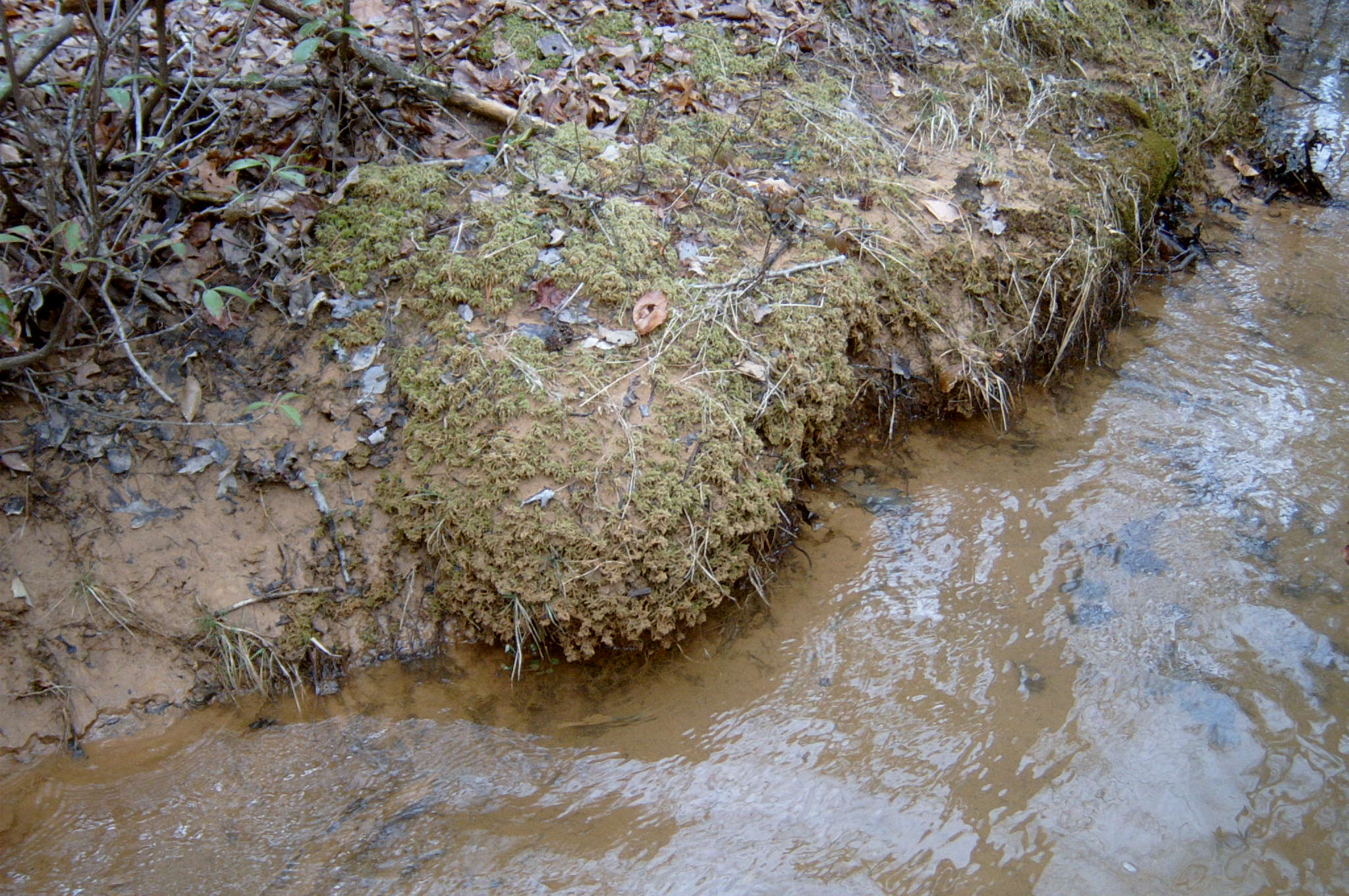 Field photo showing stream conditions at site PAXU-118-R-2004-43