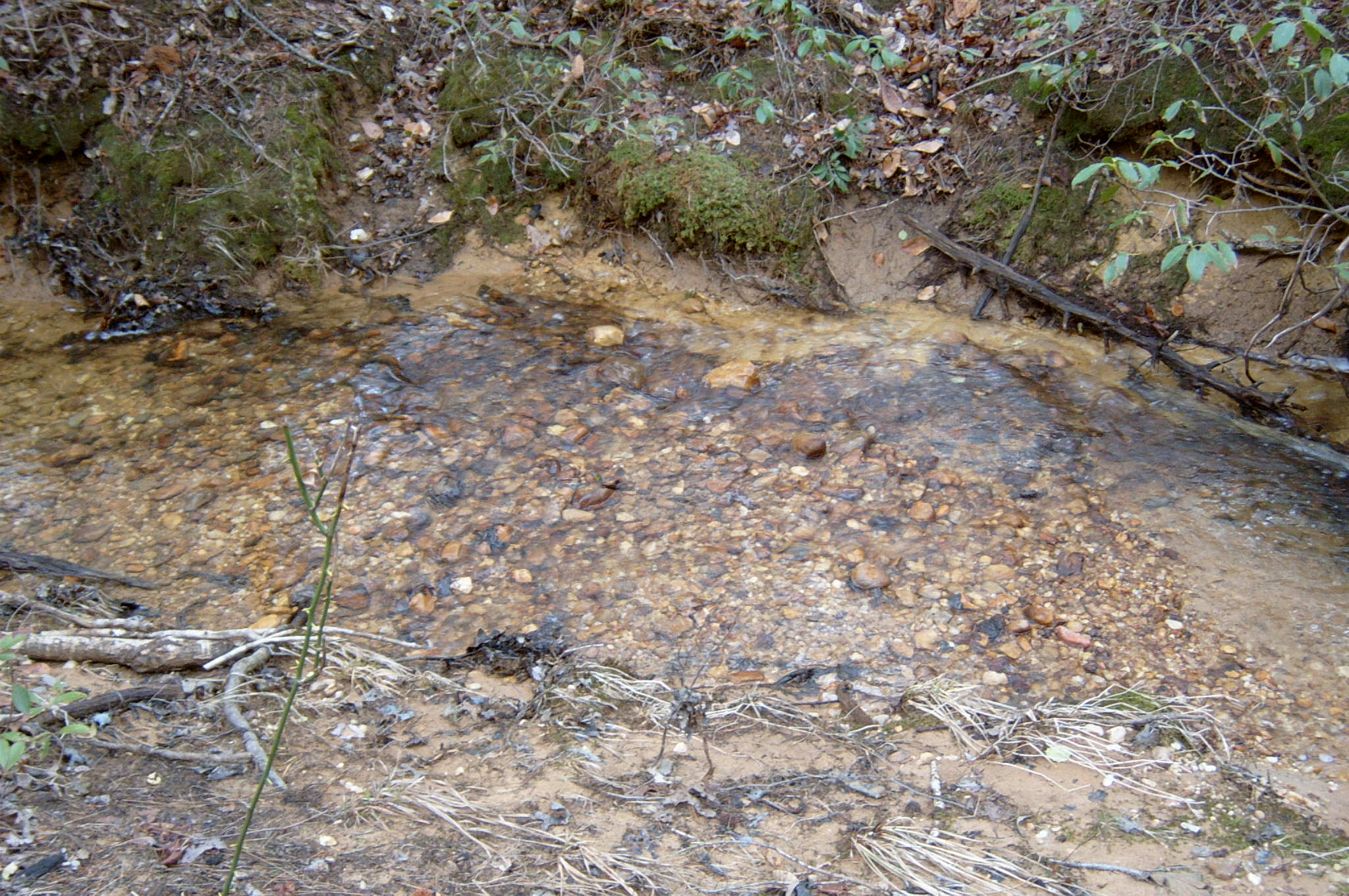 Field photo showing stream conditions at site PAXU-118-R-2004-44