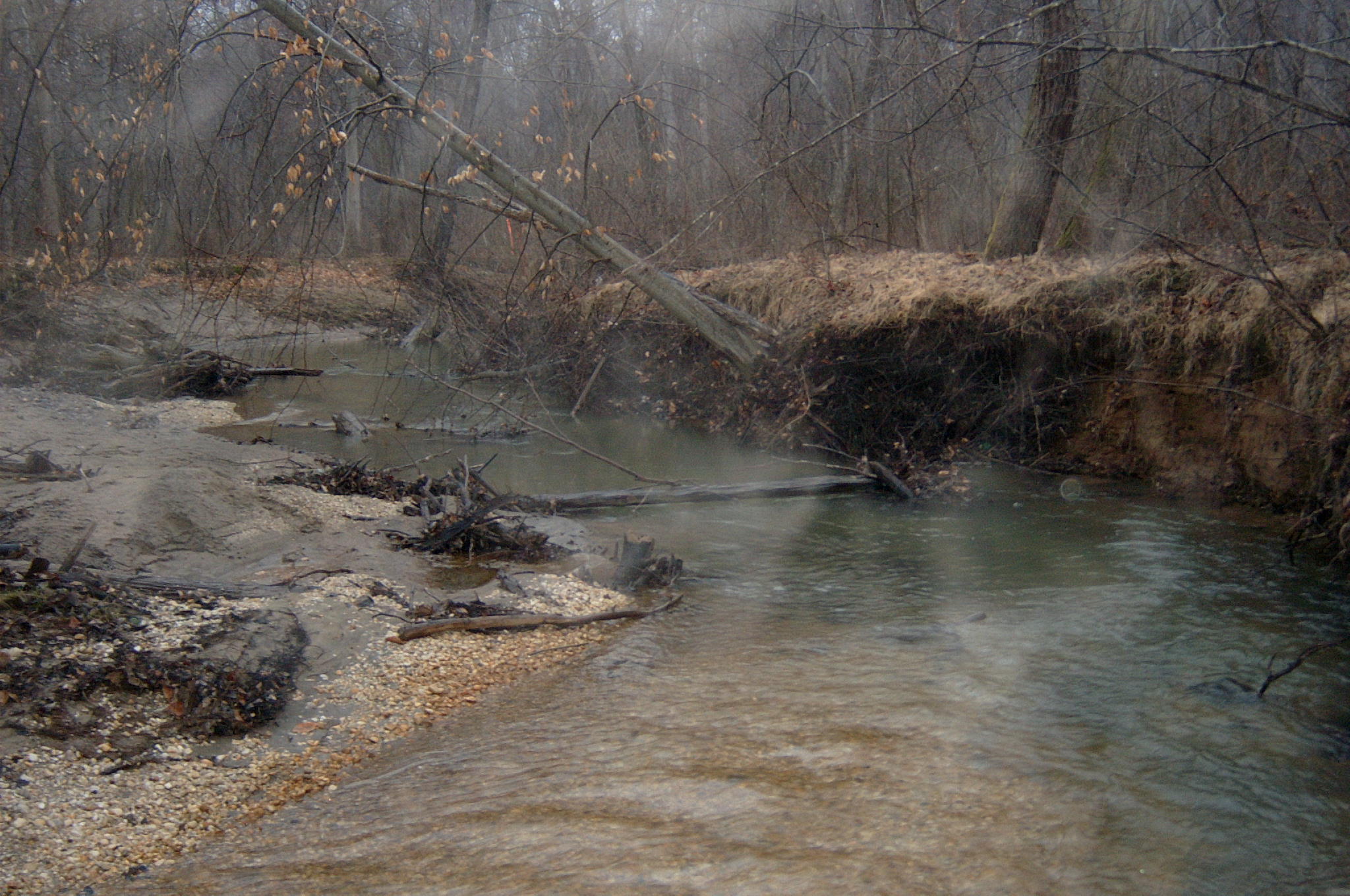 Field photo showing stream conditions at site PAXU-212-R-2004-69