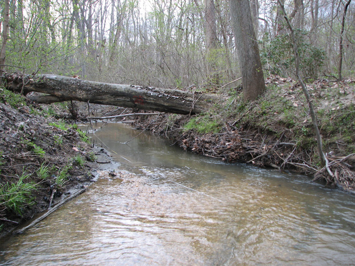 Field photo showing stream conditions at site PAXU-258-T-2007-1