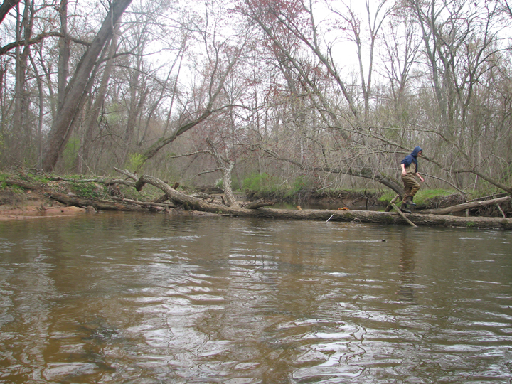 Field photo showing stream conditions at site PAXU-404-R-2008-1