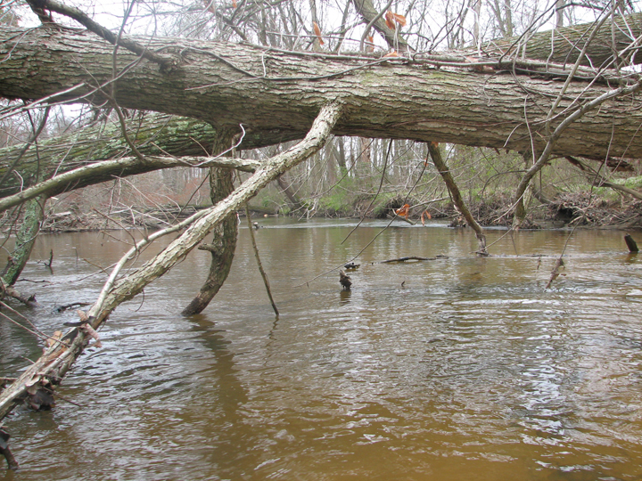 Field photo showing stream conditions at site PAXU-404-R-2008-2