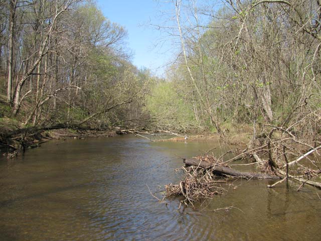 Field photo showing stream conditions at site PAXU-499-B-2012-1