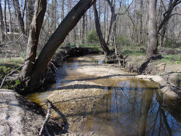 Field photo showing stream conditions at site PISC-101-B-2007-1