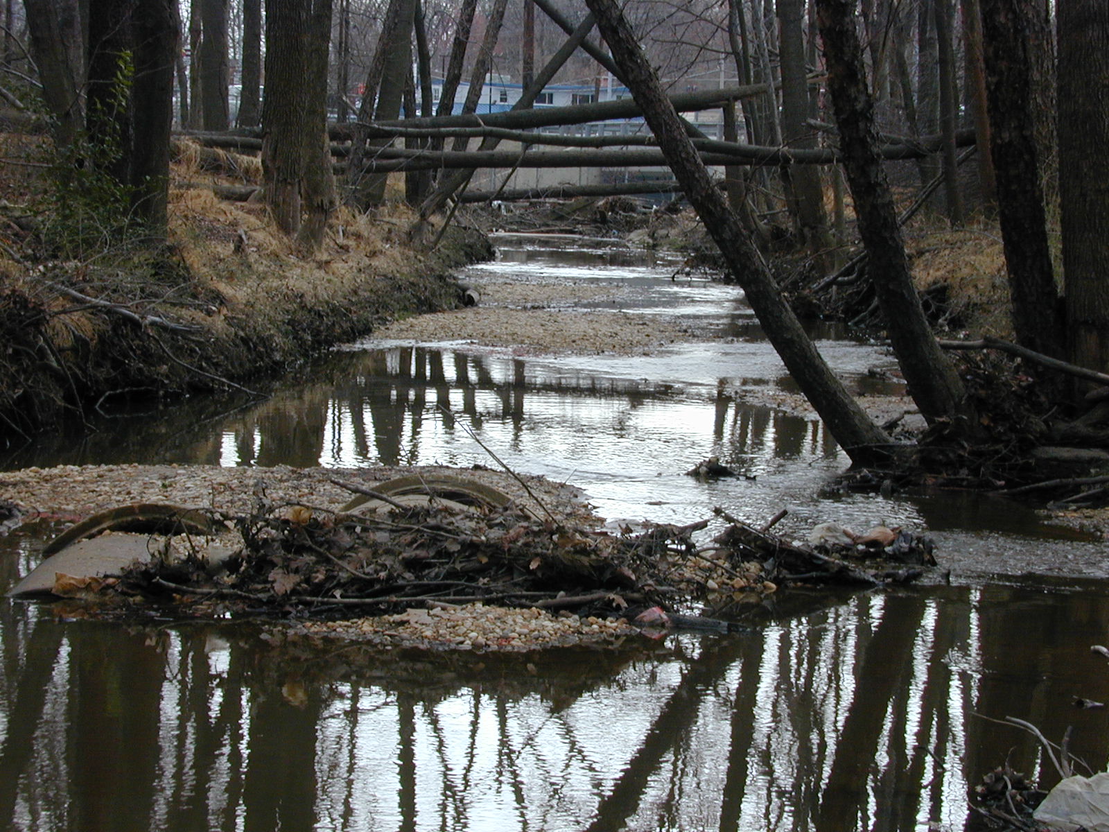 Field photo showing stream conditions at site PISC-103-R-2001-22