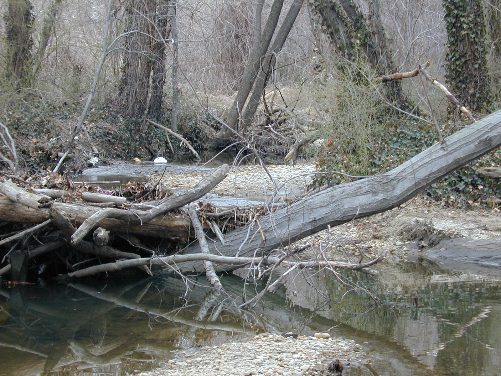 Field photo showing stream conditions at site PISC-103-R-2001-23