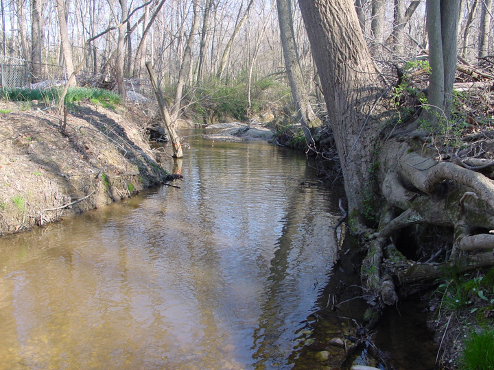 Field photo showing stream conditions at site PISC-104-B-2007-1