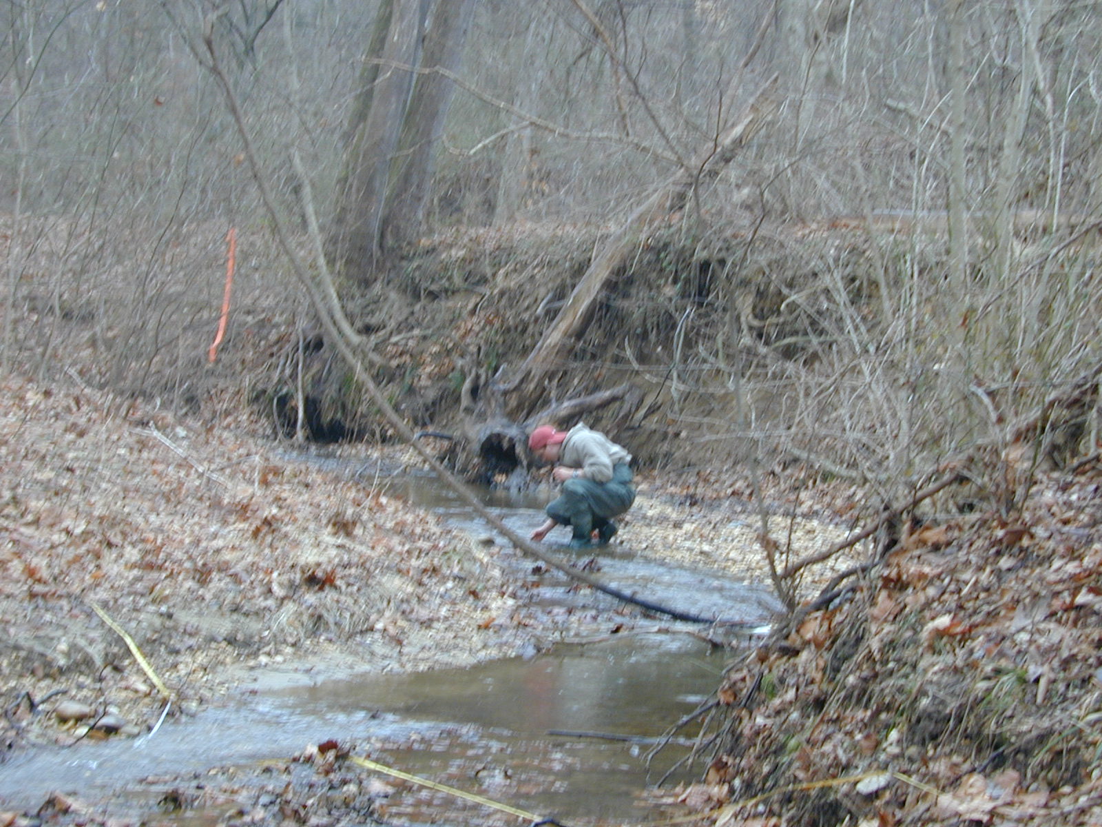 Field photo showing stream conditions at site PISC-104-R-2001-6