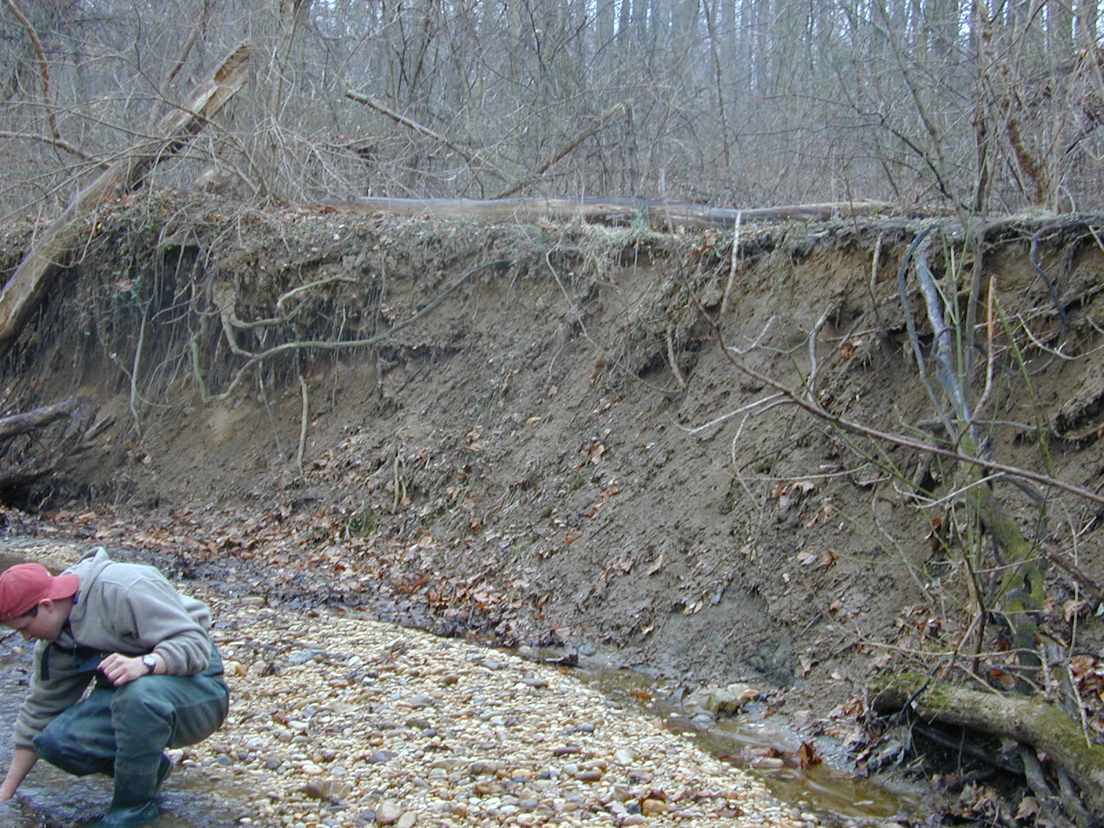 Field photo showing stream conditions at site PISC-104-R-2001-7