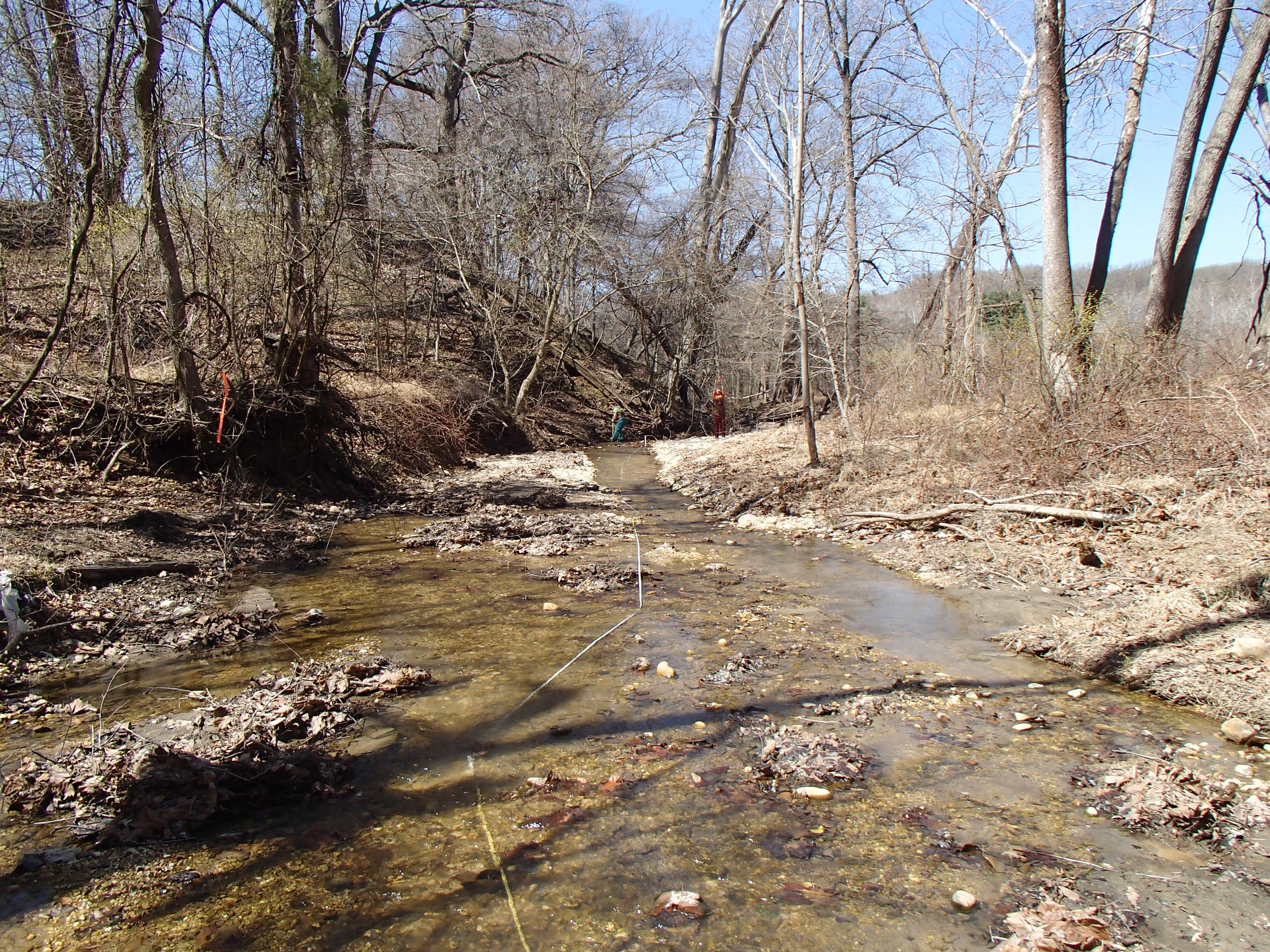 Field photo showing stream conditions at site PISC-104-R-2015_Midpoint-downstream